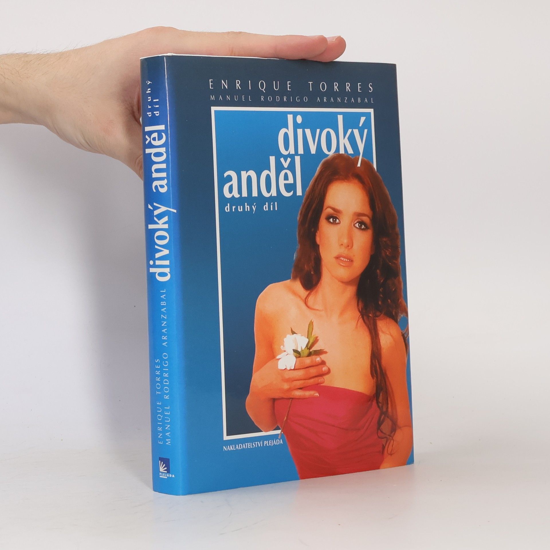 Manuel Rodrigo Aranzabal Divoký anděl 2. díl: Kapitoly ze života Milagros