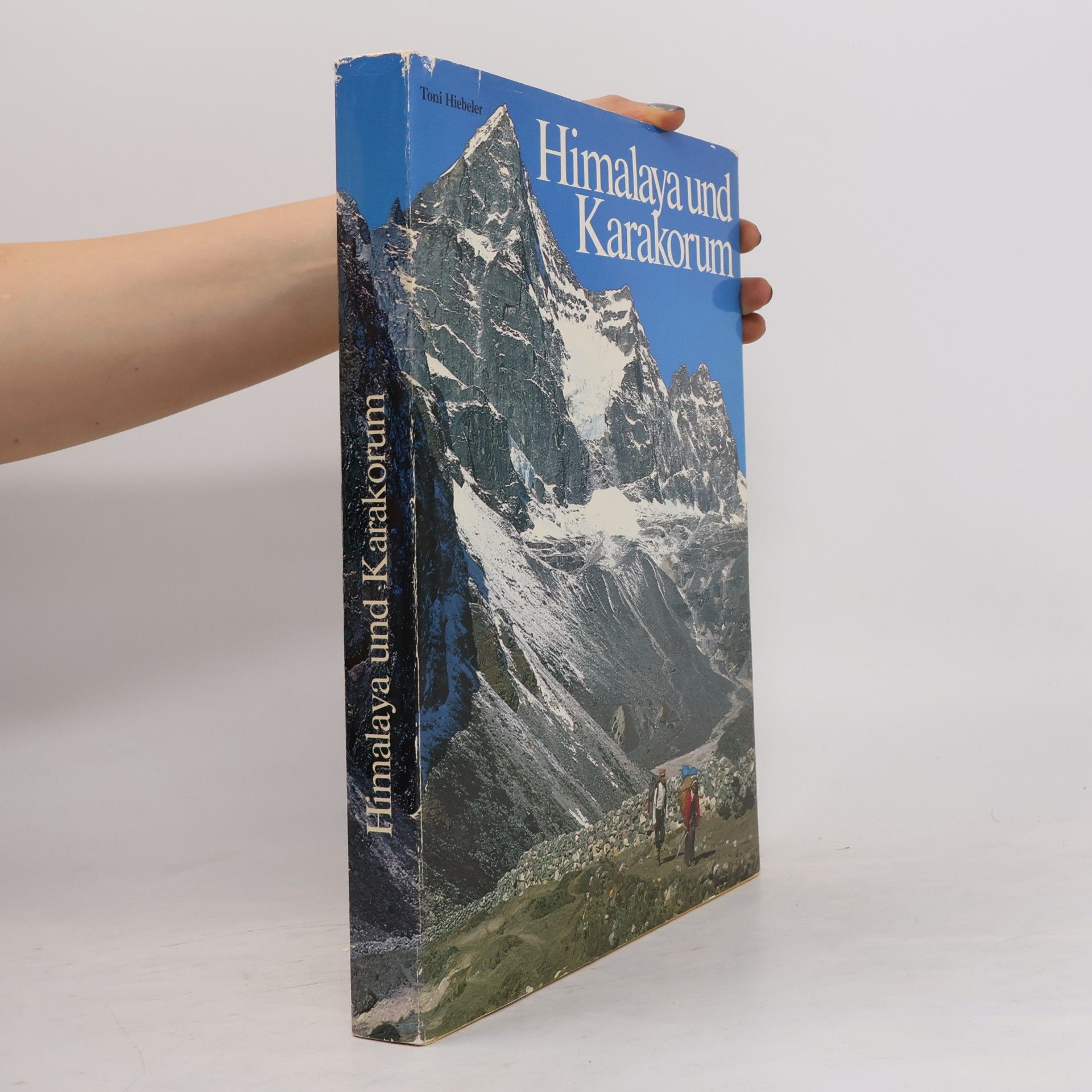 Himalaya und Karakorum