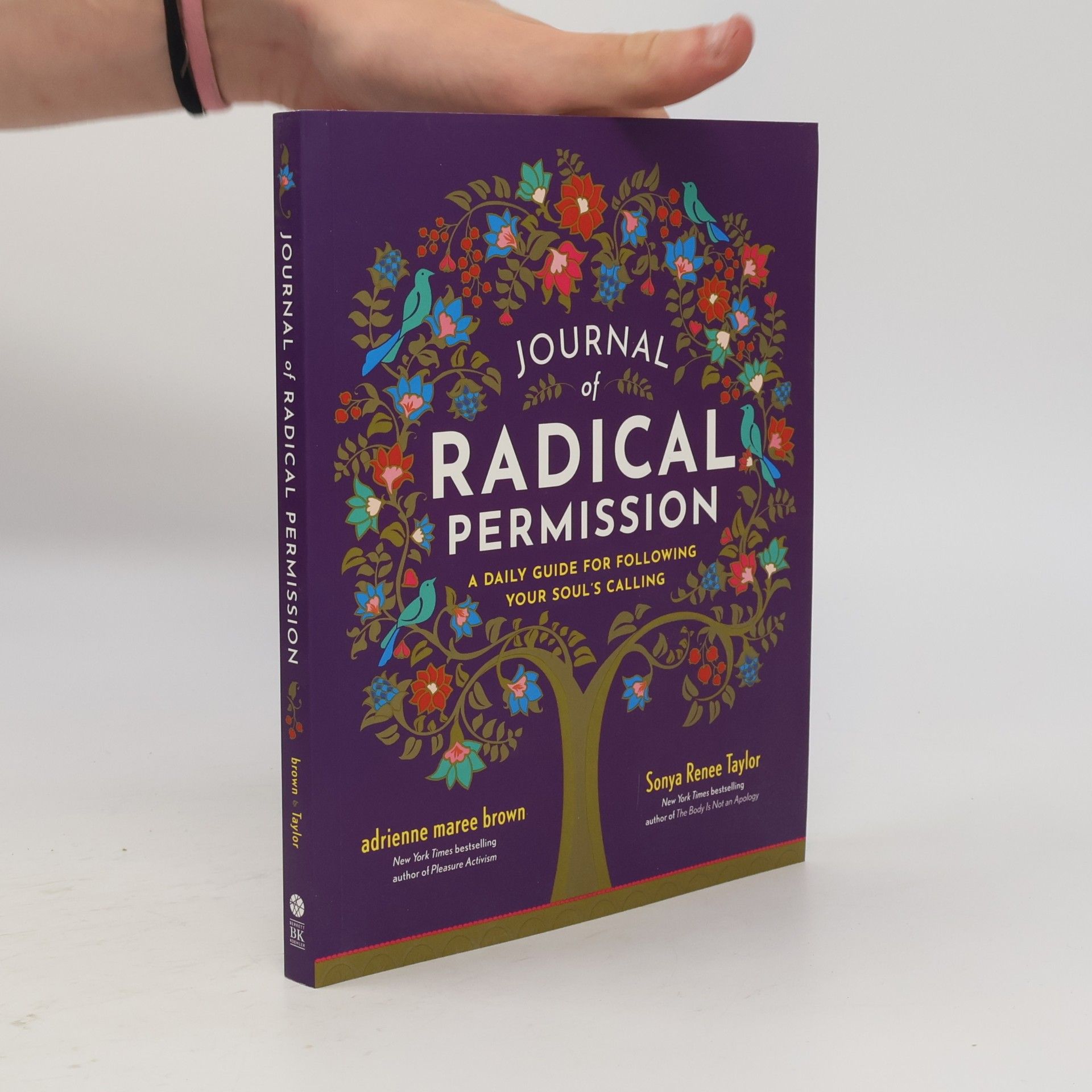 Sonya Renee Taylor Journal of Radical Permission