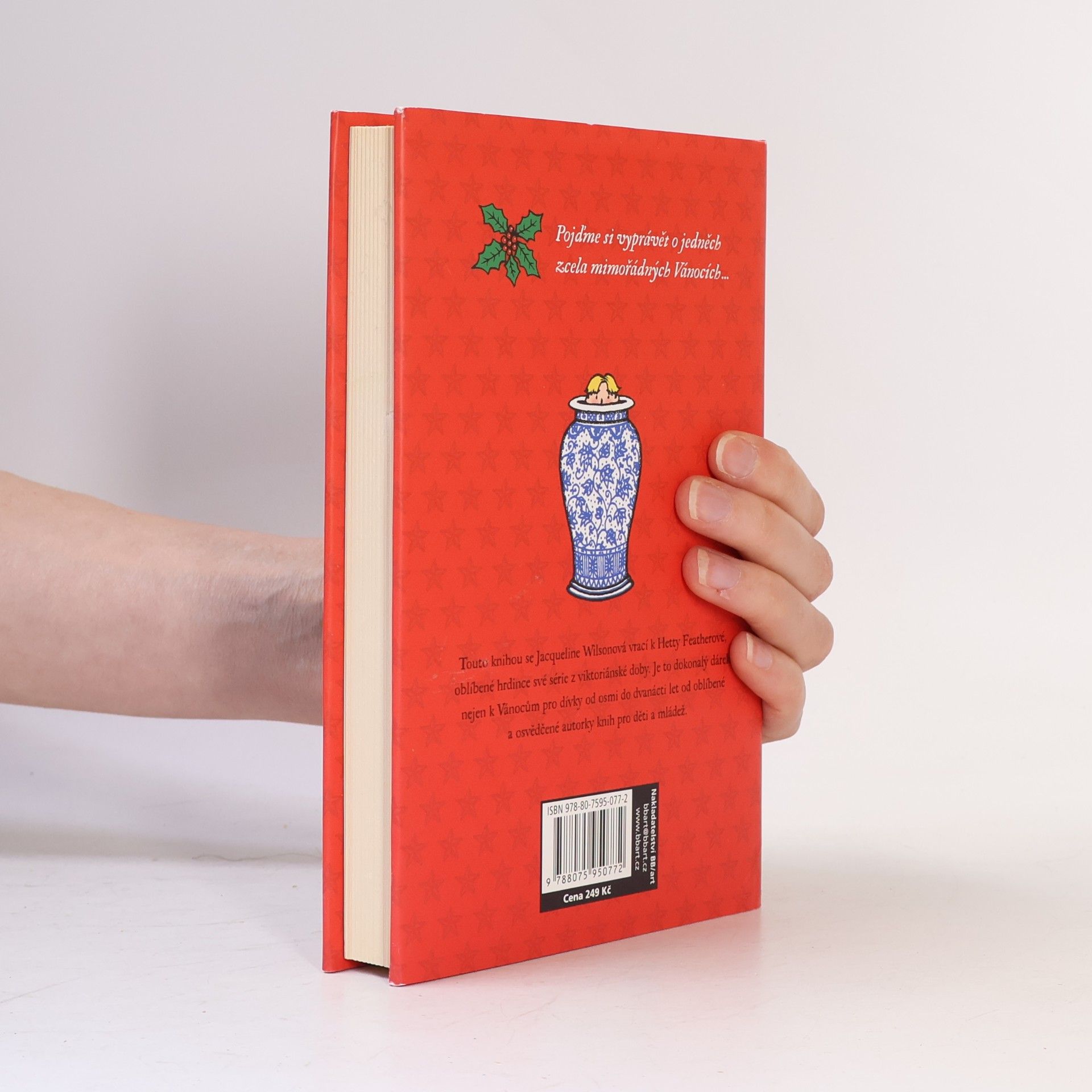 Jacqueline Wilson Vánoční překvapení