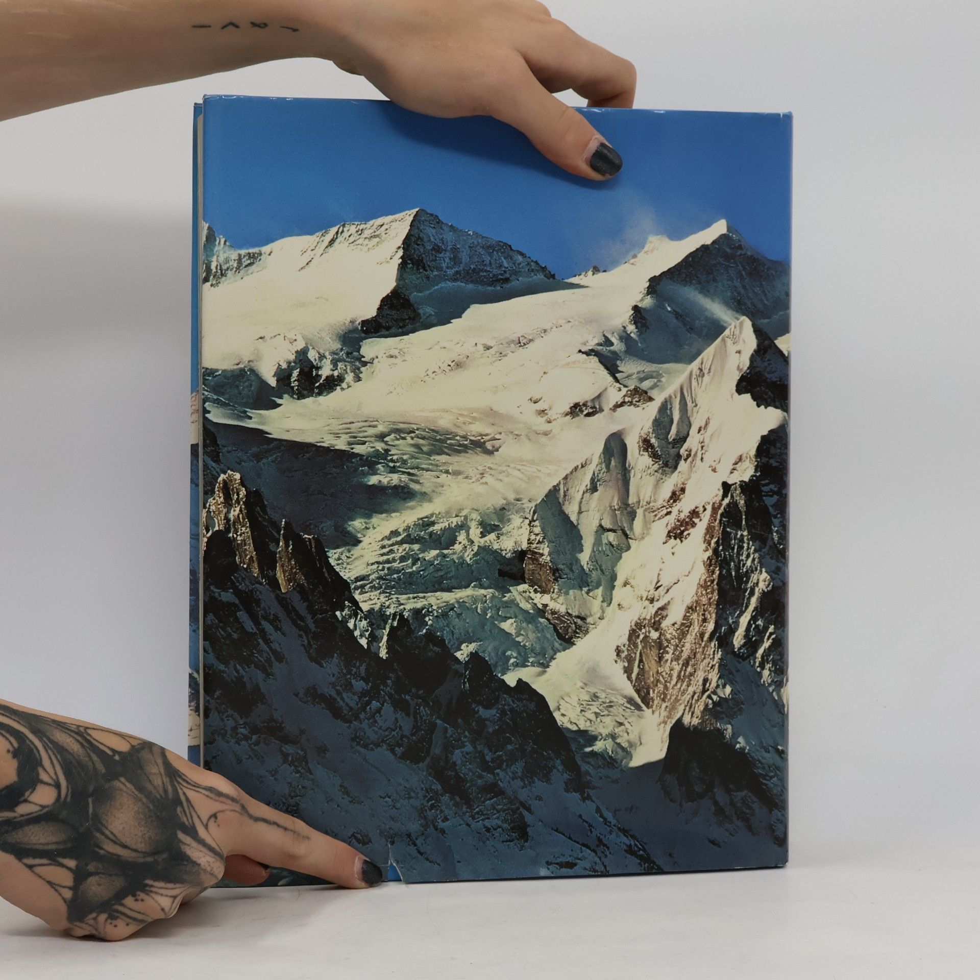 Die Alpen