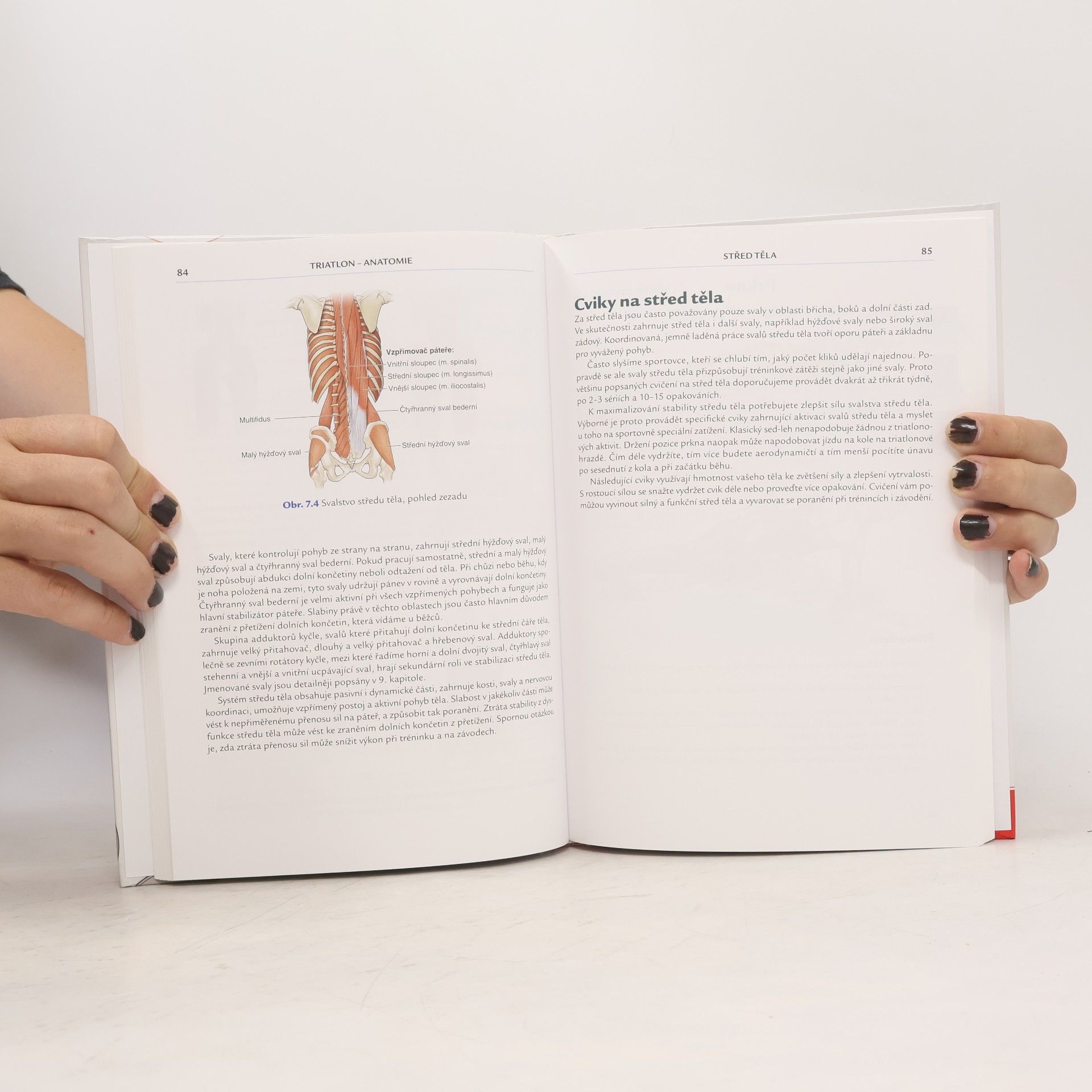 Mark Klion Triatlon. Anatomie