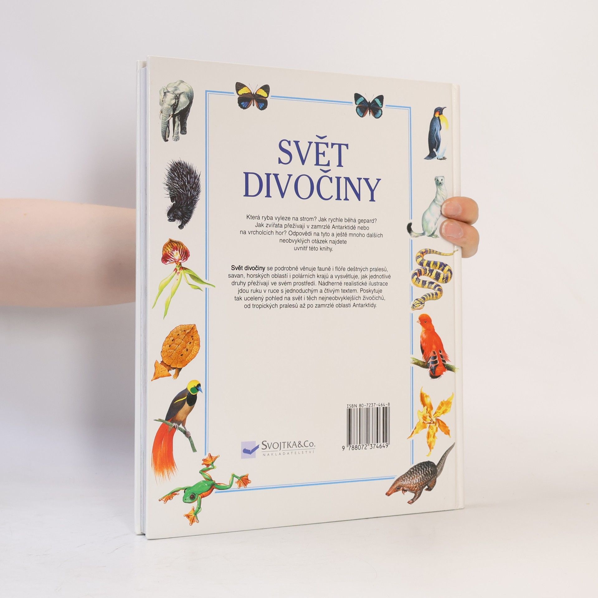 Andrew Dixon Svět divočiny