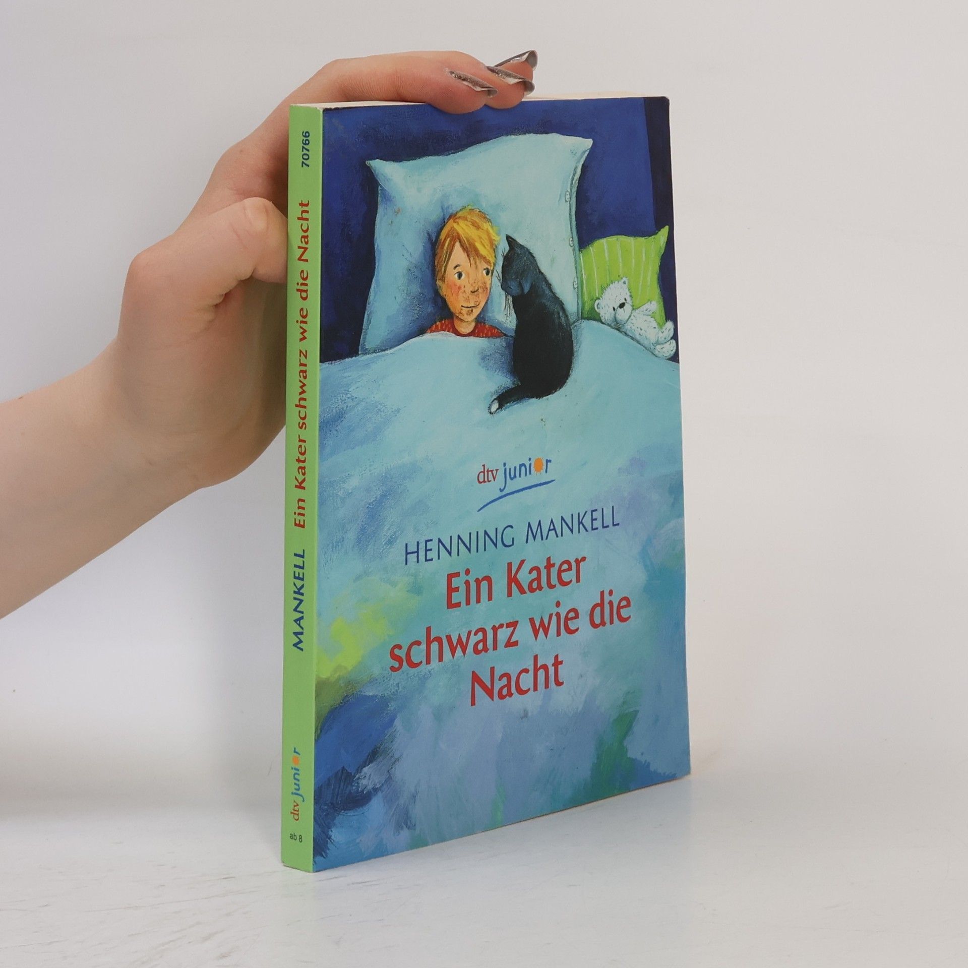 Henning Mankell Ein Kater schwarz wie die Nacht