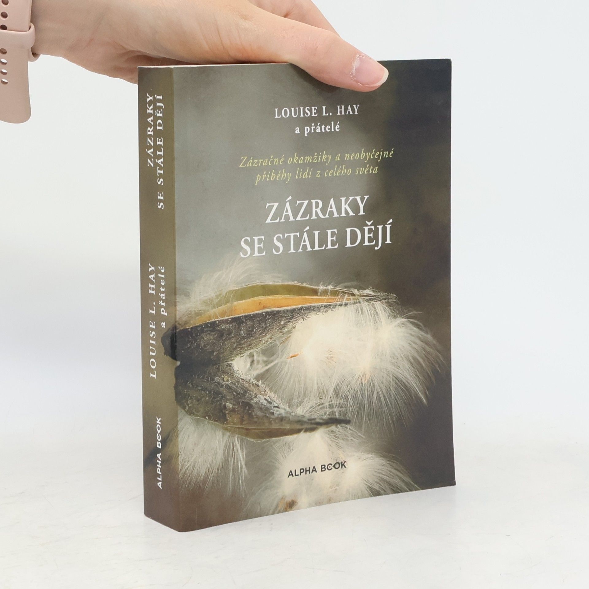 Iva Havlíčková Zázraky se stále dějí : zázračné okamžiky a neobyčejné příběhy lidí z celého světa