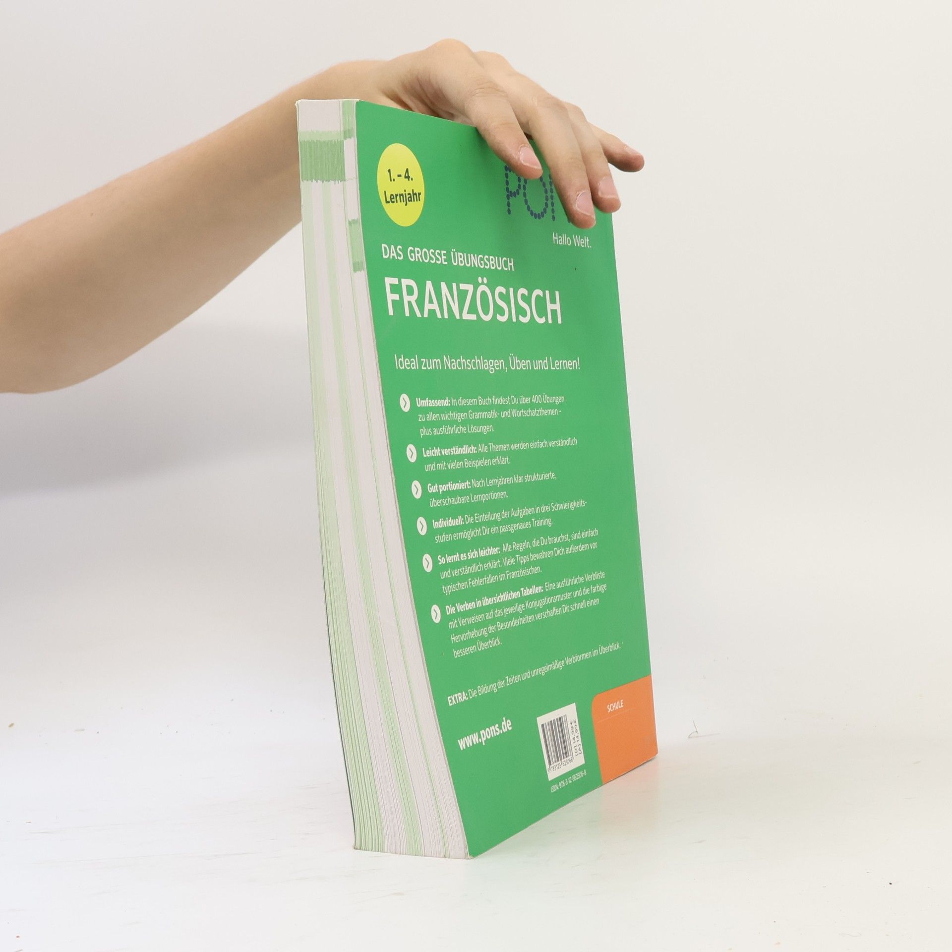 Ilga Bliek PONS Das große Übungsbuch Französisch
