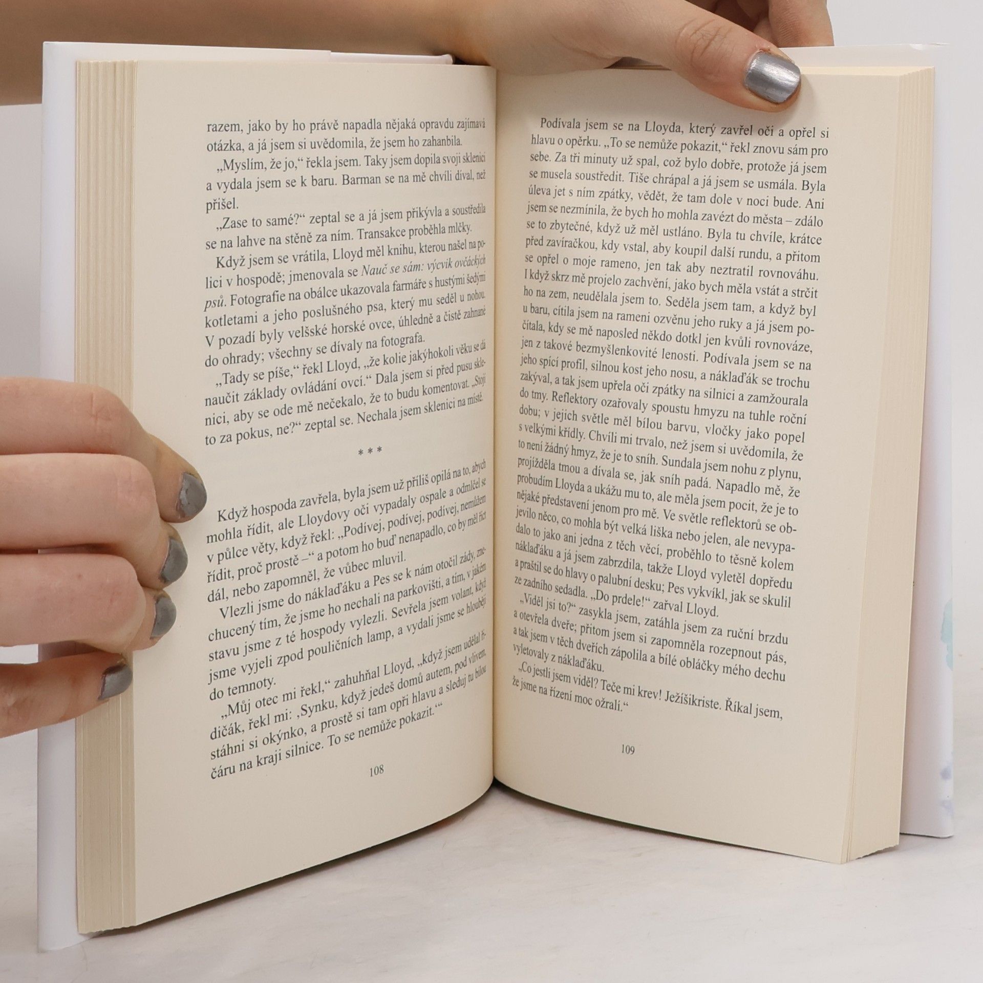 Evie Wyld Zpívá, zpívá každý pták