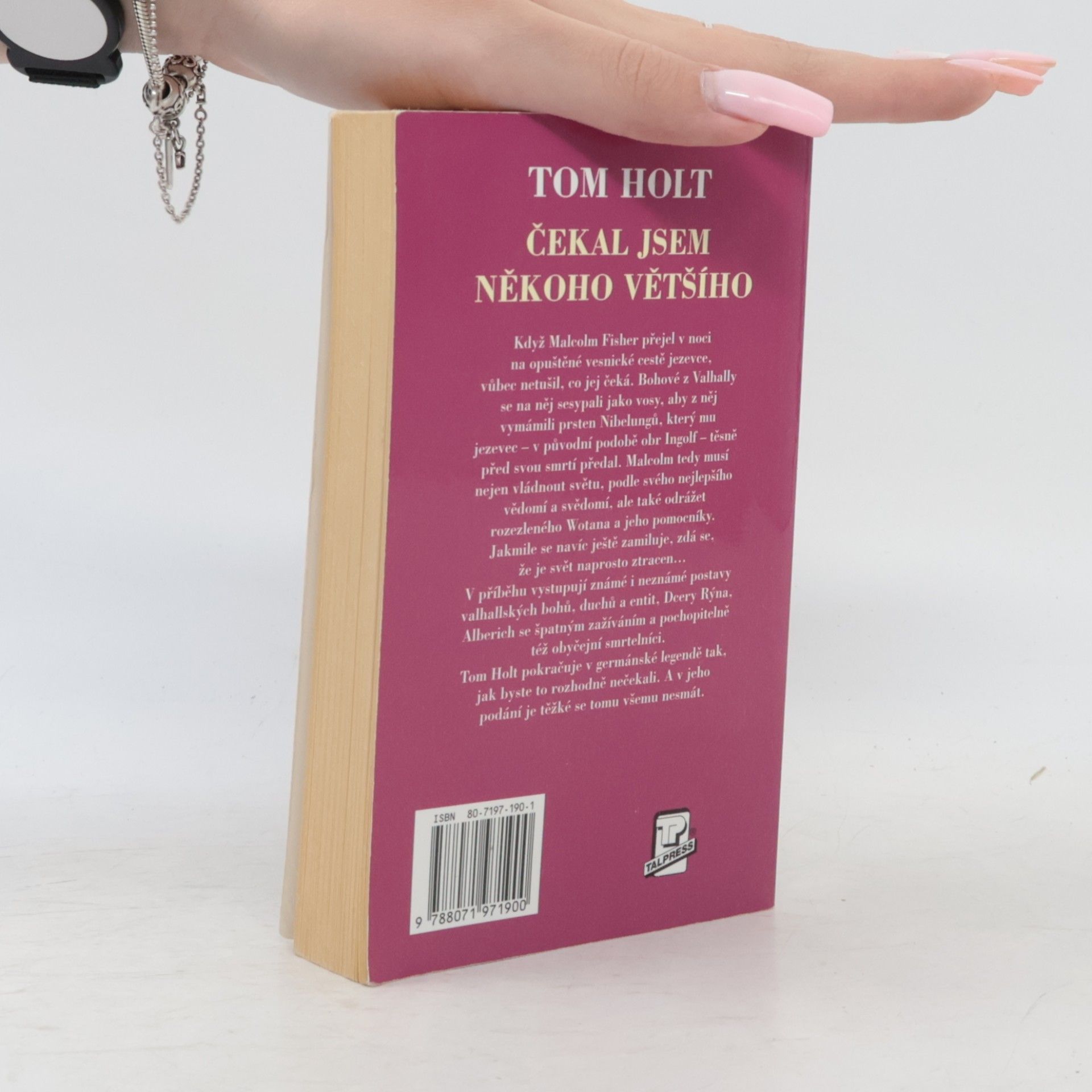 Tom Holt Čekal jsem někoho vyššího