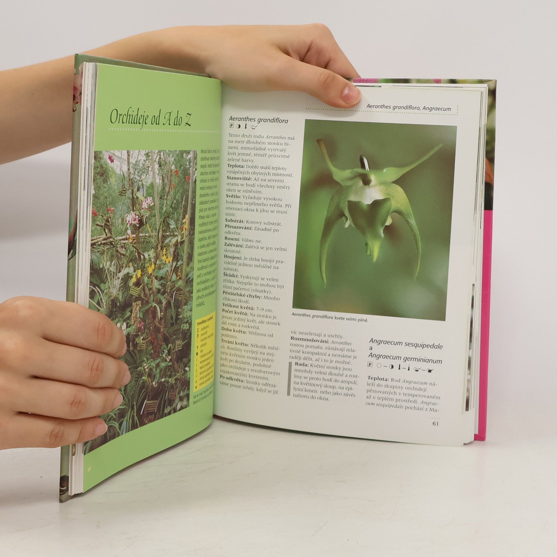 Brigitte Goede Orchideje. Praktický rádce pro zdraví rostlin a krásu květů