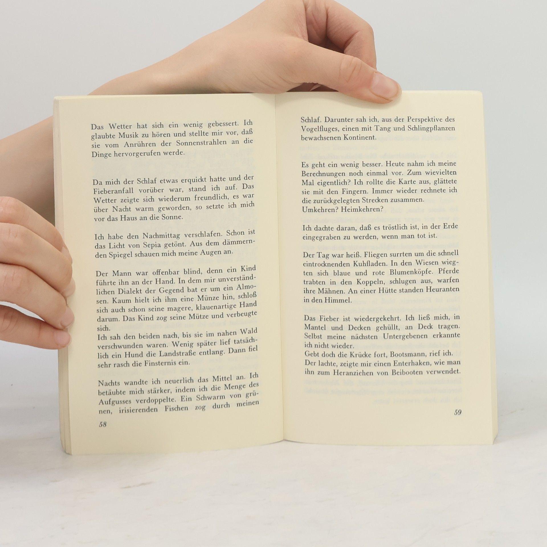 Peter Rosei Der Fluss der Gedanken durch den Kopf: Logbücher (Suhrkamp Taschenbücher)