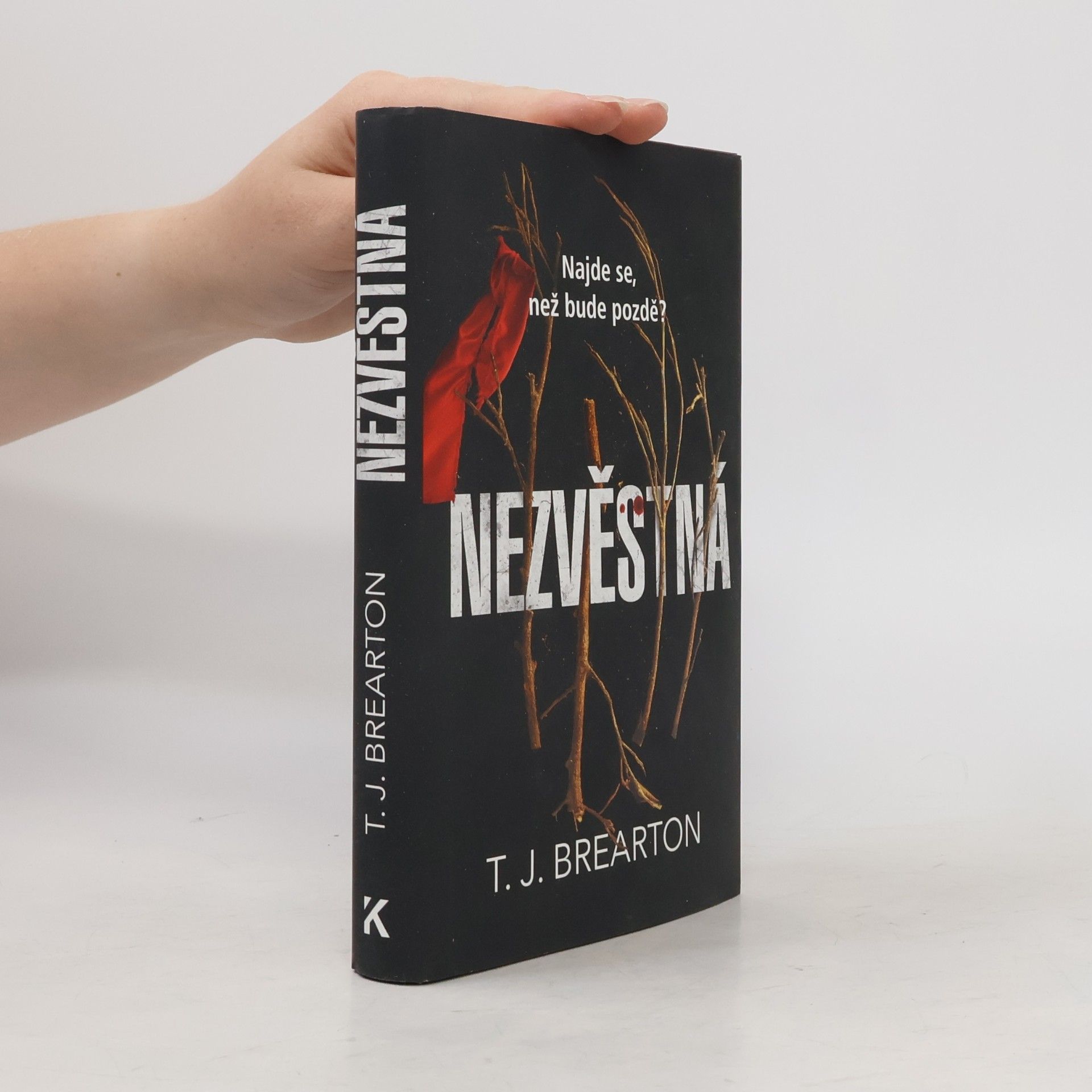 T. J. Brearton Nezvěstná