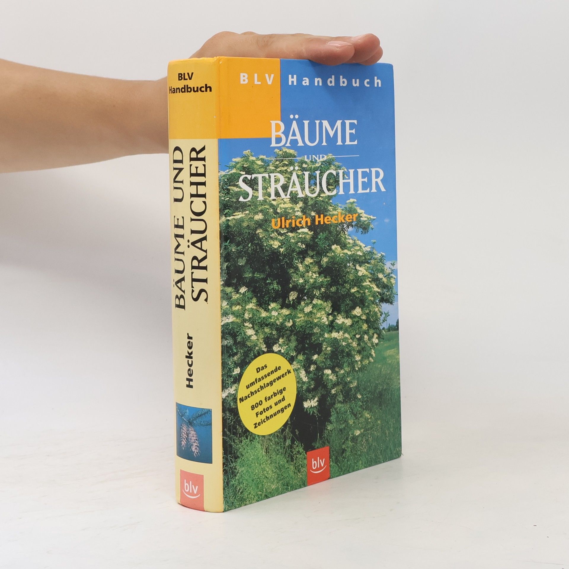 Hans-Ulrich Hecker BLV-Handbuch Bäume und Sträucher