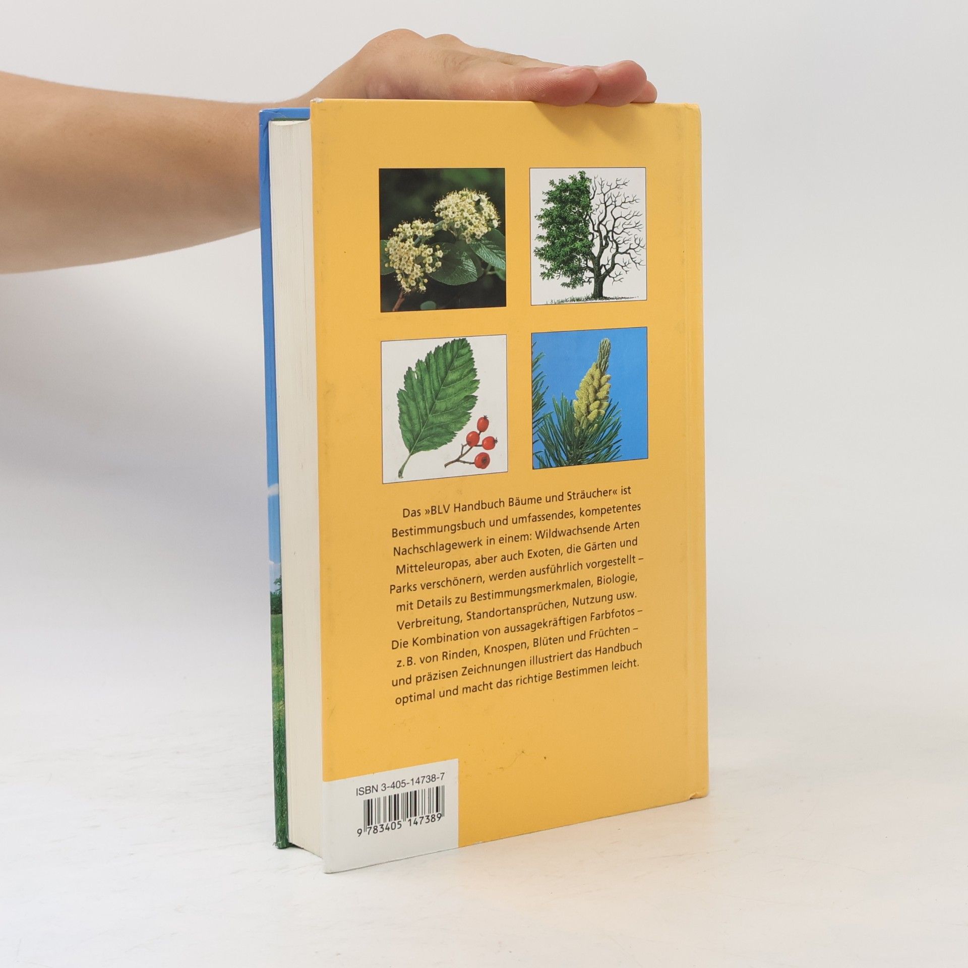 Hans-Ulrich Hecker BLV-Handbuch Bäume und Sträucher