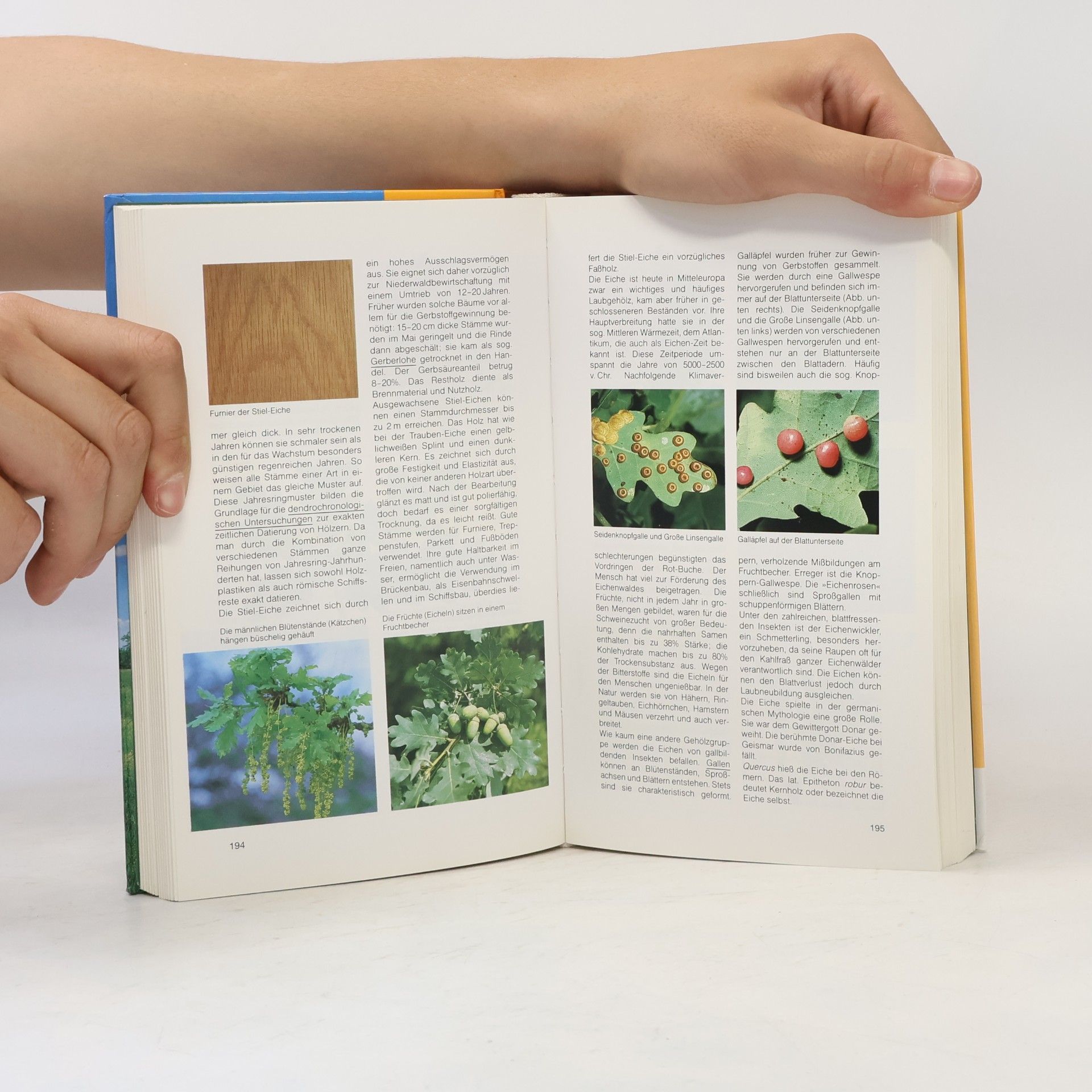 Hans-Ulrich Hecker BLV-Handbuch Bäume und Sträucher