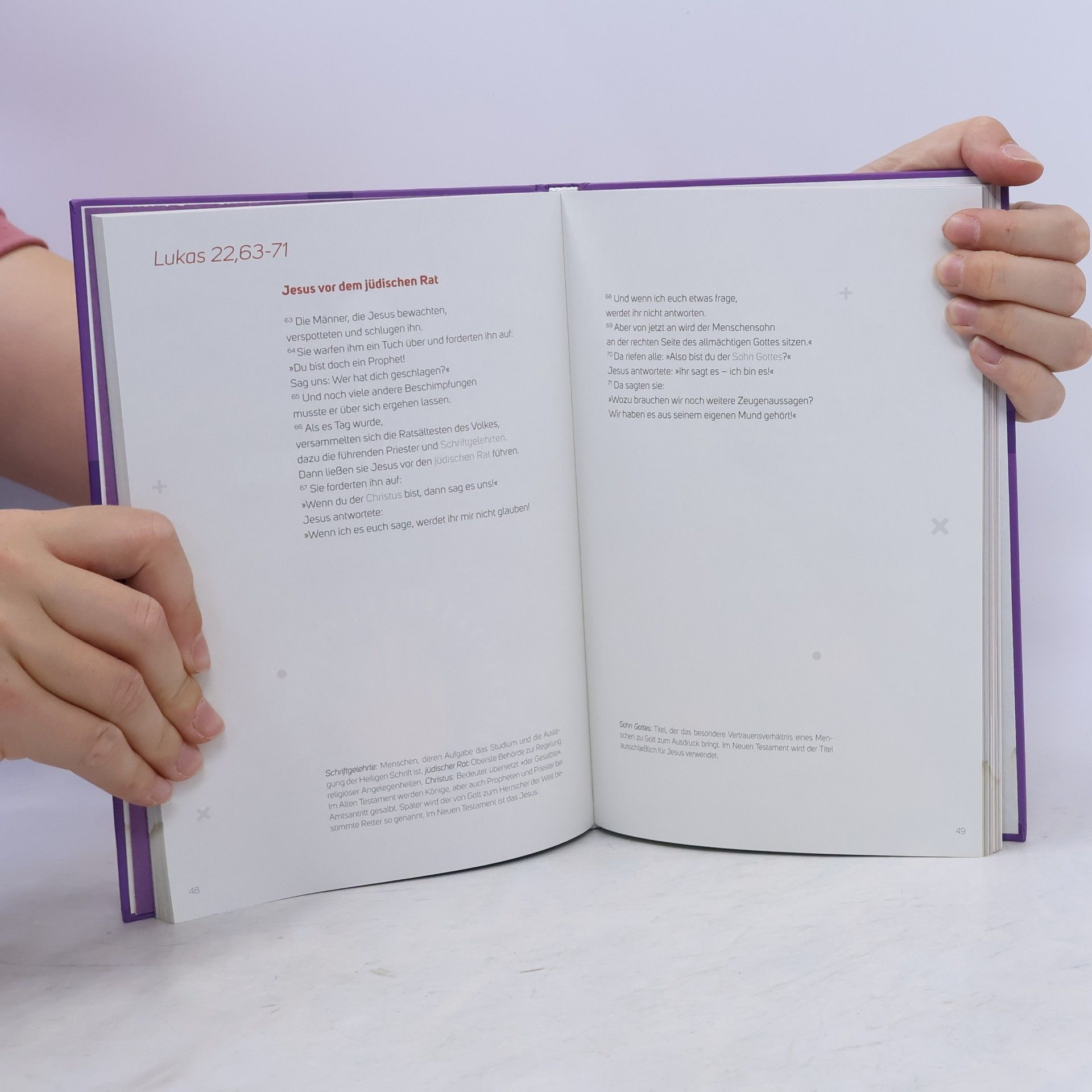Kolektiv autorů BasisBibel. 27 Mal Passion und Ostern