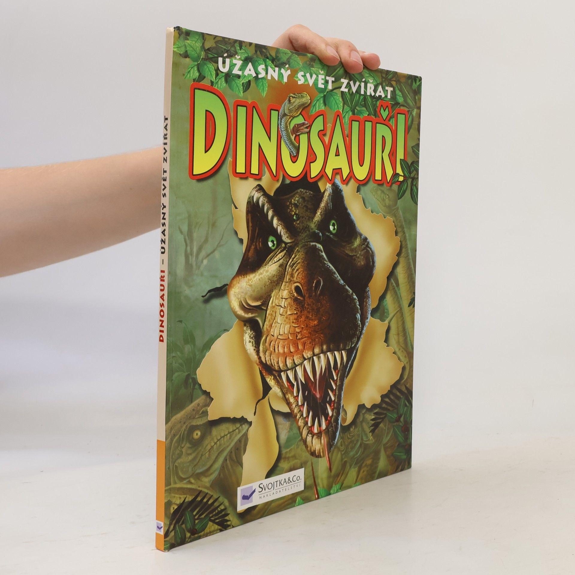 Martin Hrubeš Dinosauři : úžasný svět zvířat