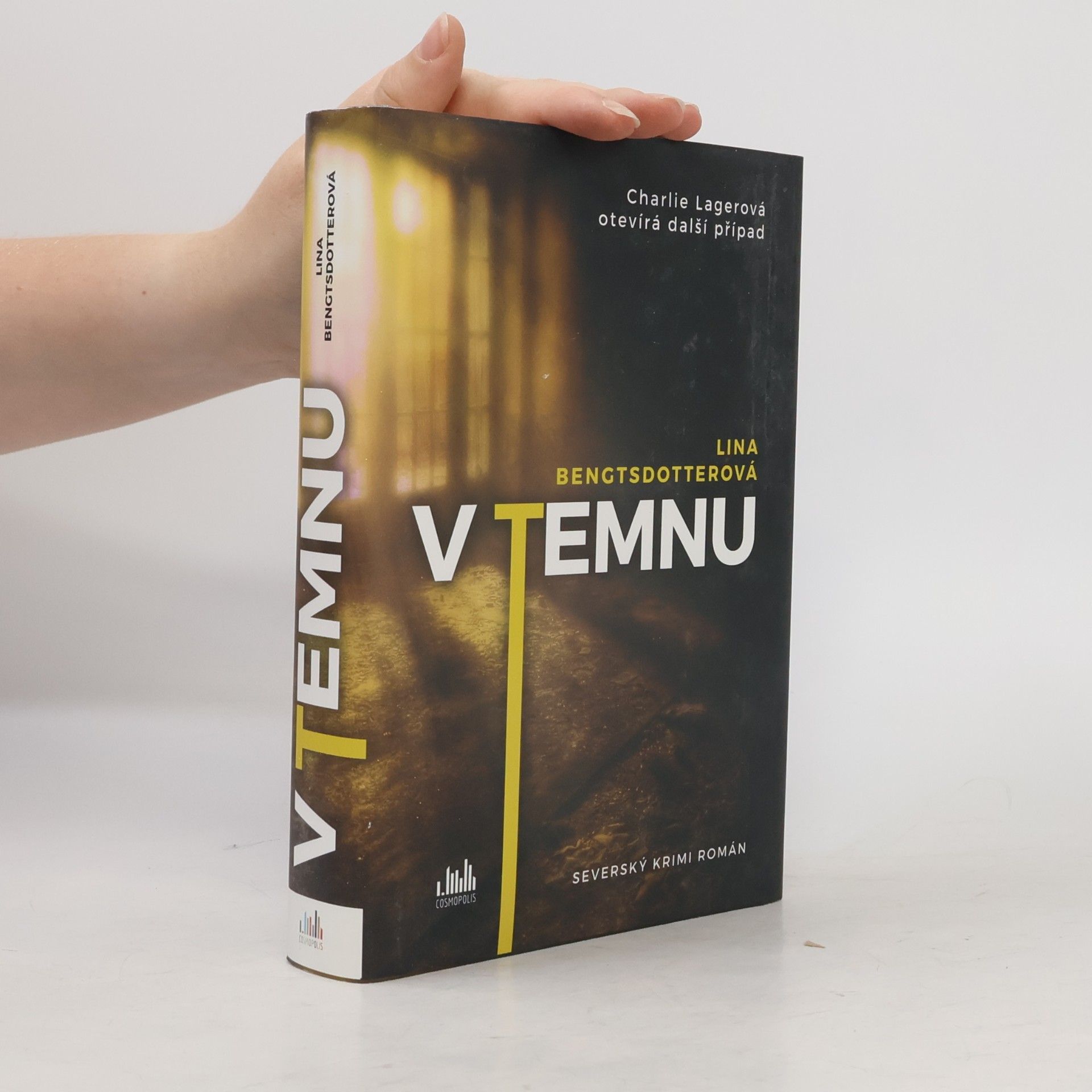 Lina Bengtsdotter V temnu