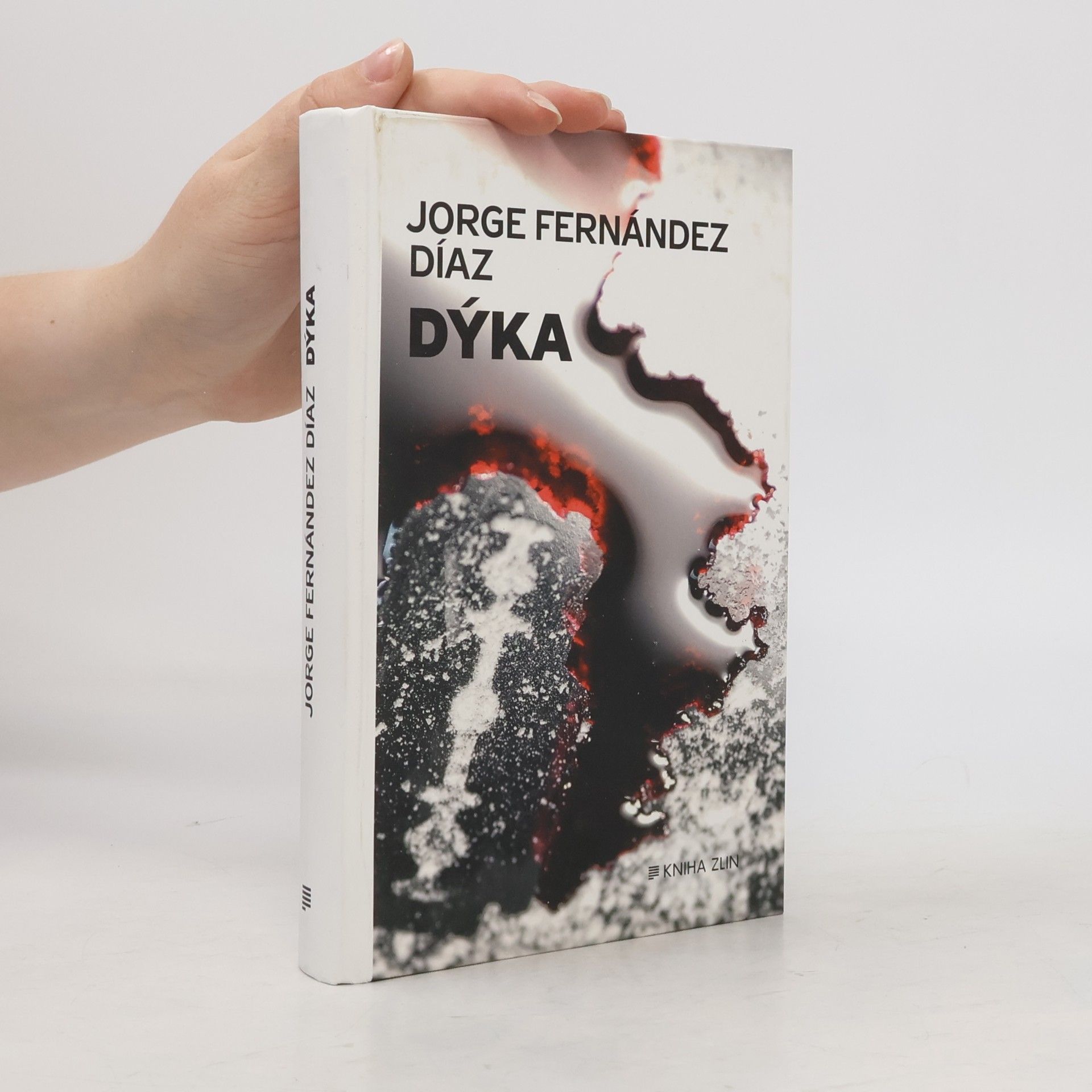 Jorge Fernández Díaz Dýka