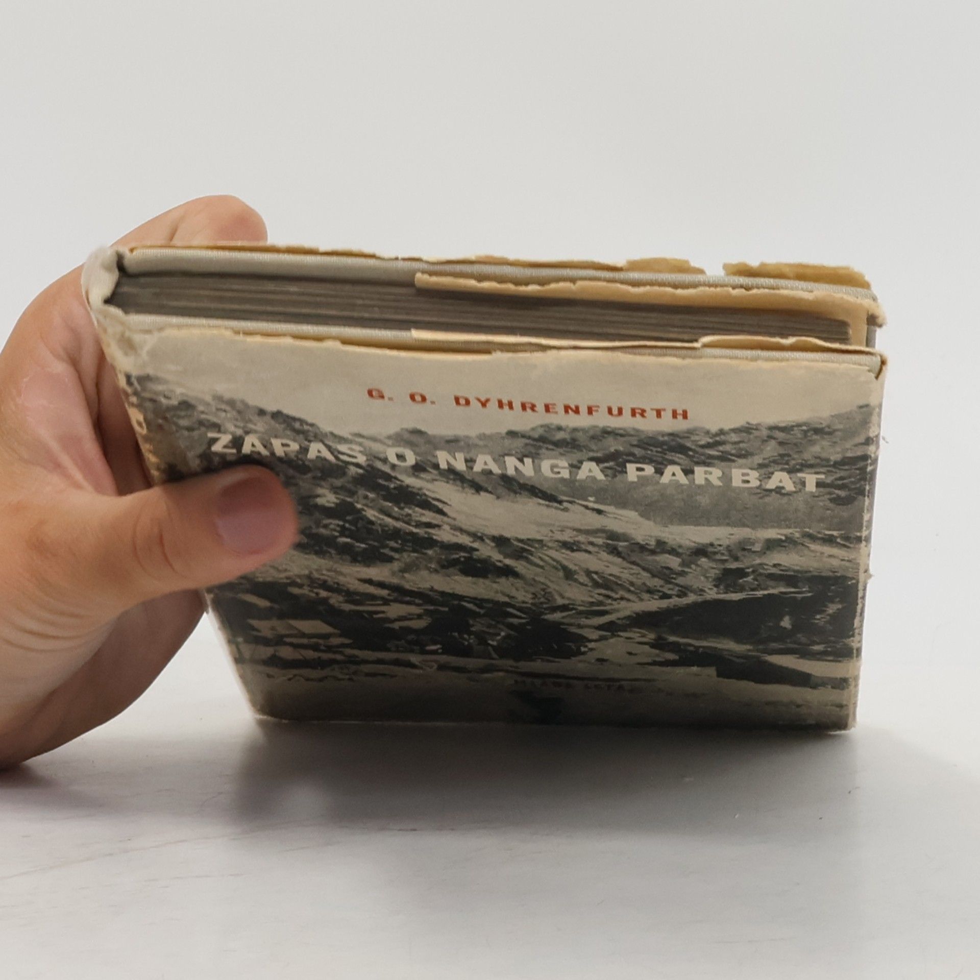 G. O. Dyhrenfurth Zápas o Nanga Parbat
