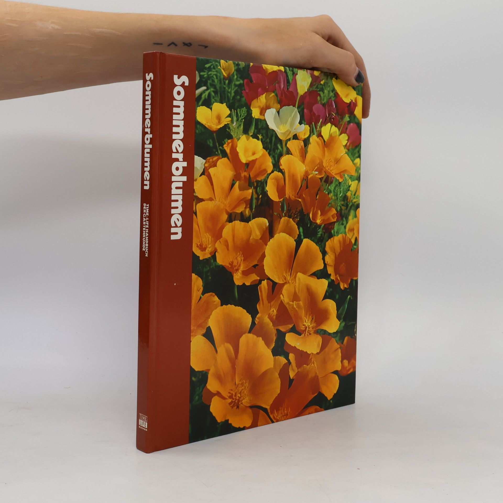 Autorenkollektiv Sommerblumen