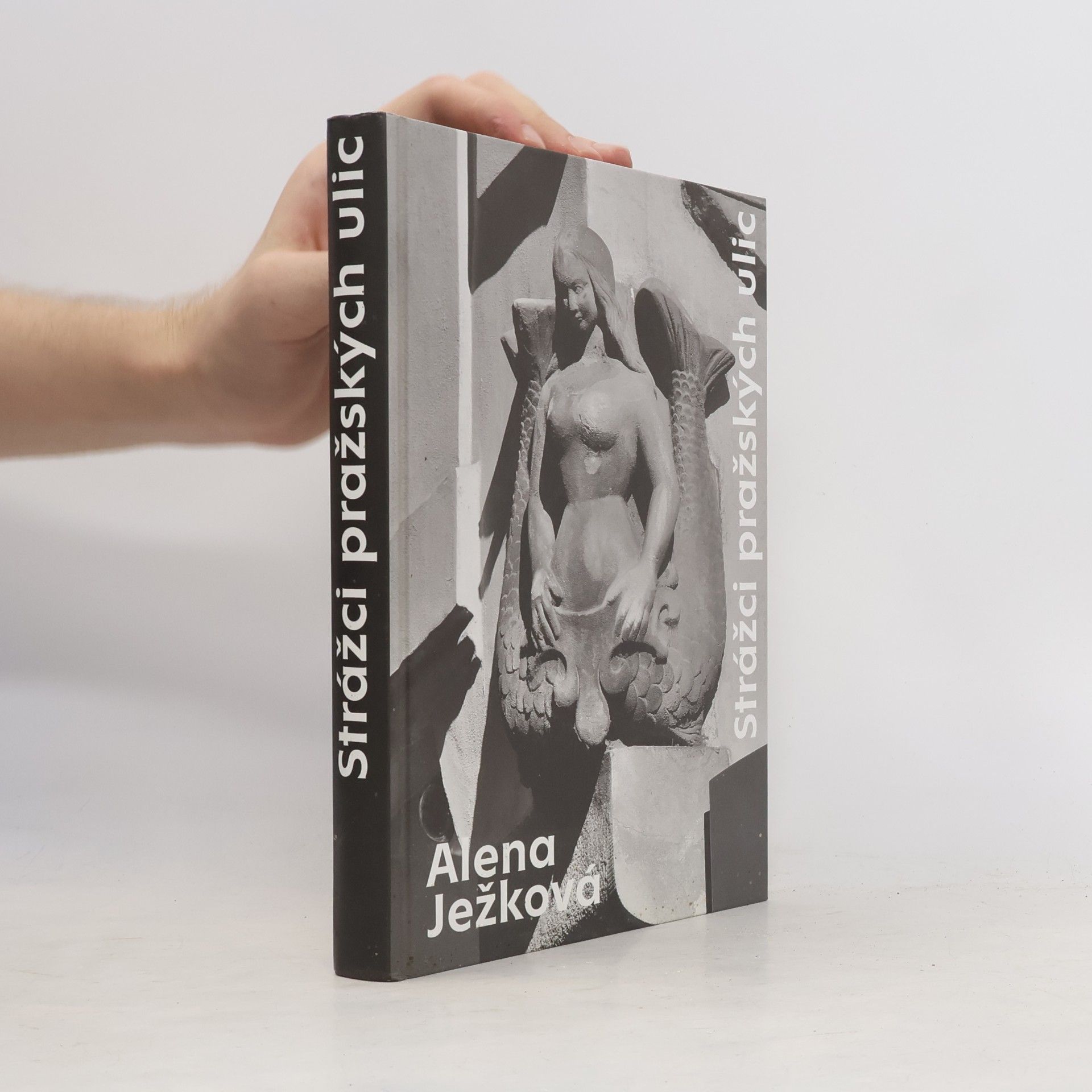 Alena Ježková Strážci pražských ulic