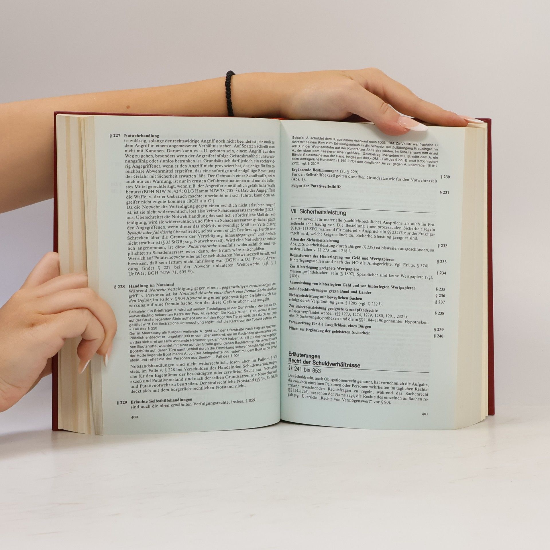 Auteurscollectief Das Bürgerliche Gesetzbuch für jedermann in Erläuterungen und Beispielen