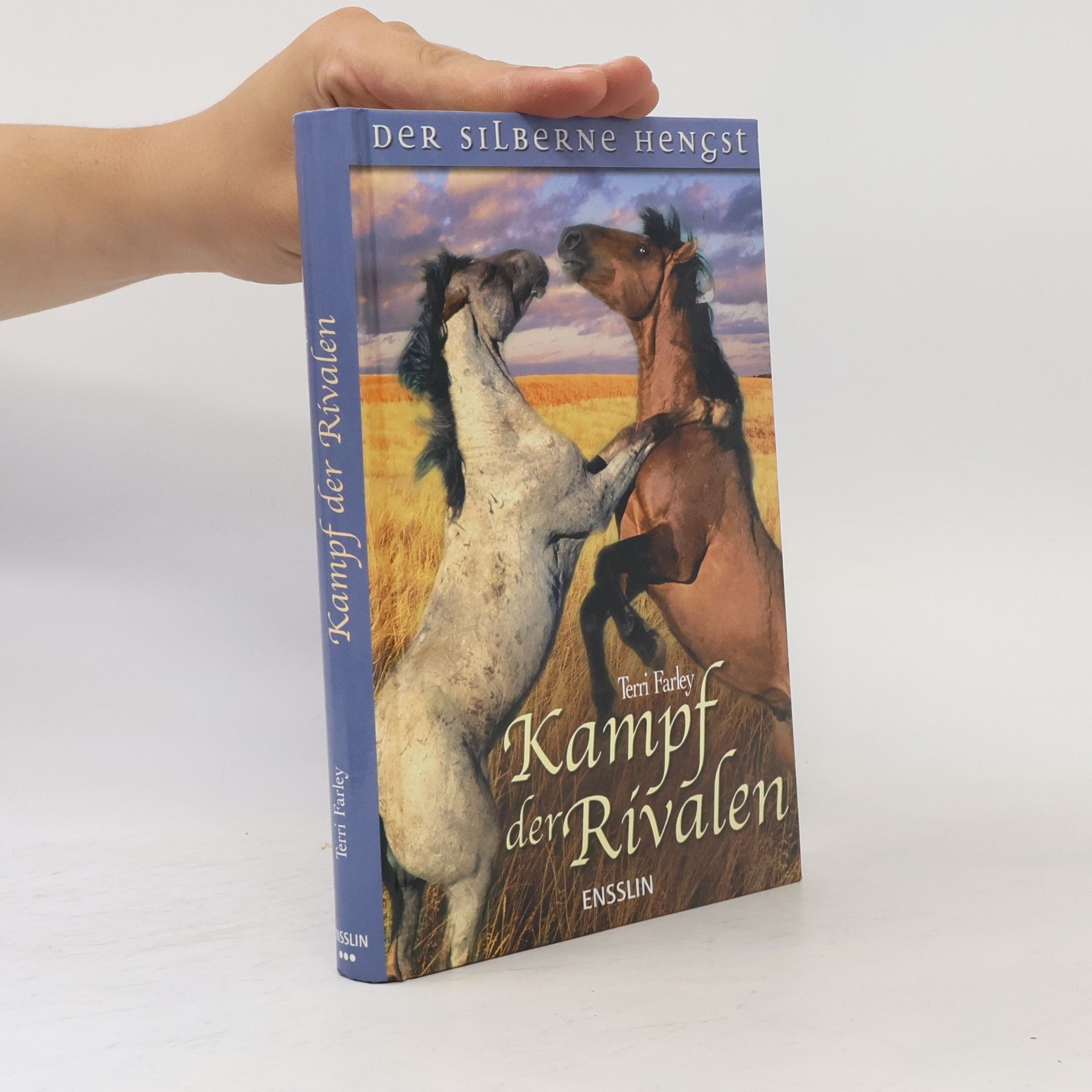 Terri Farley Kampf der Rivalen