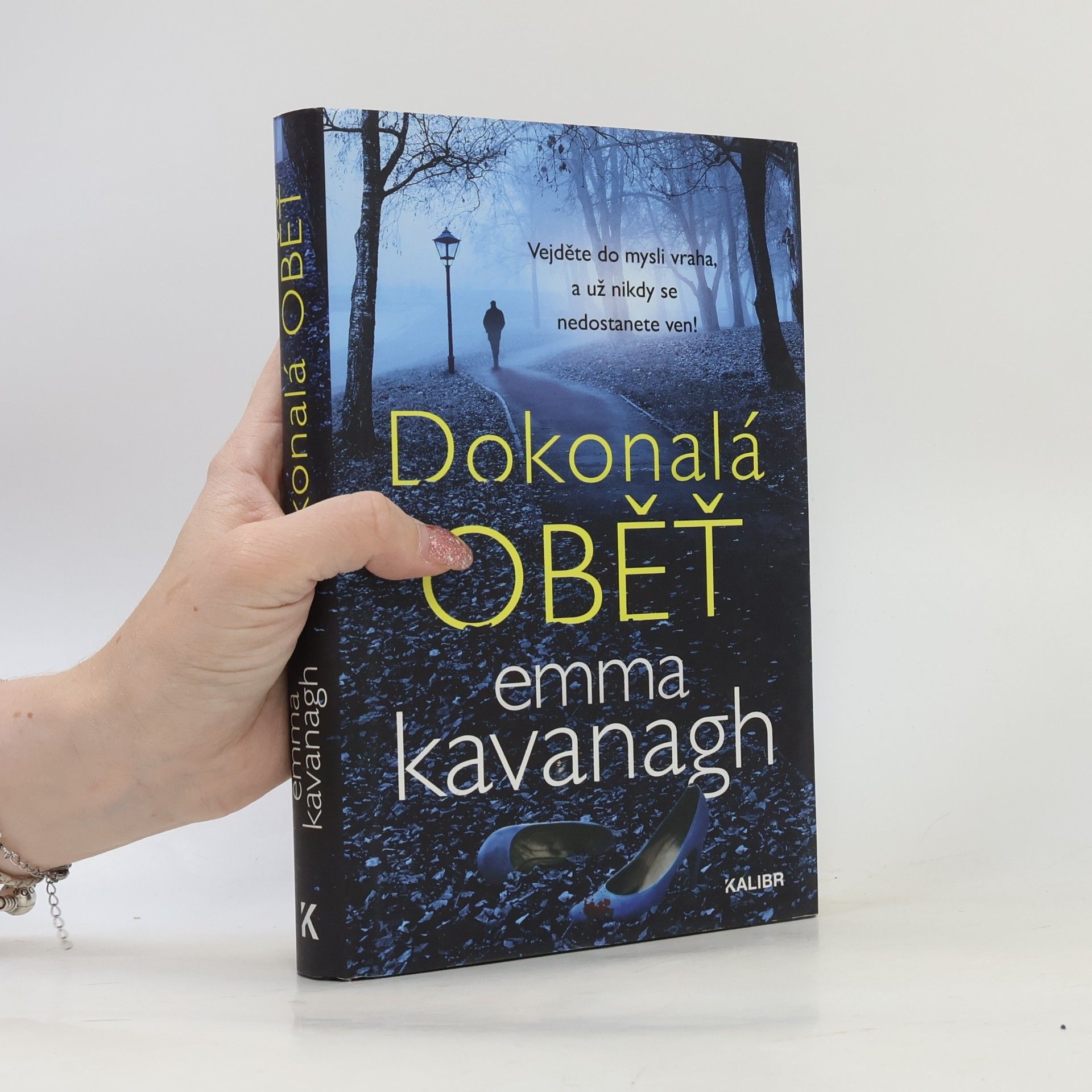 Dokonalá oběť