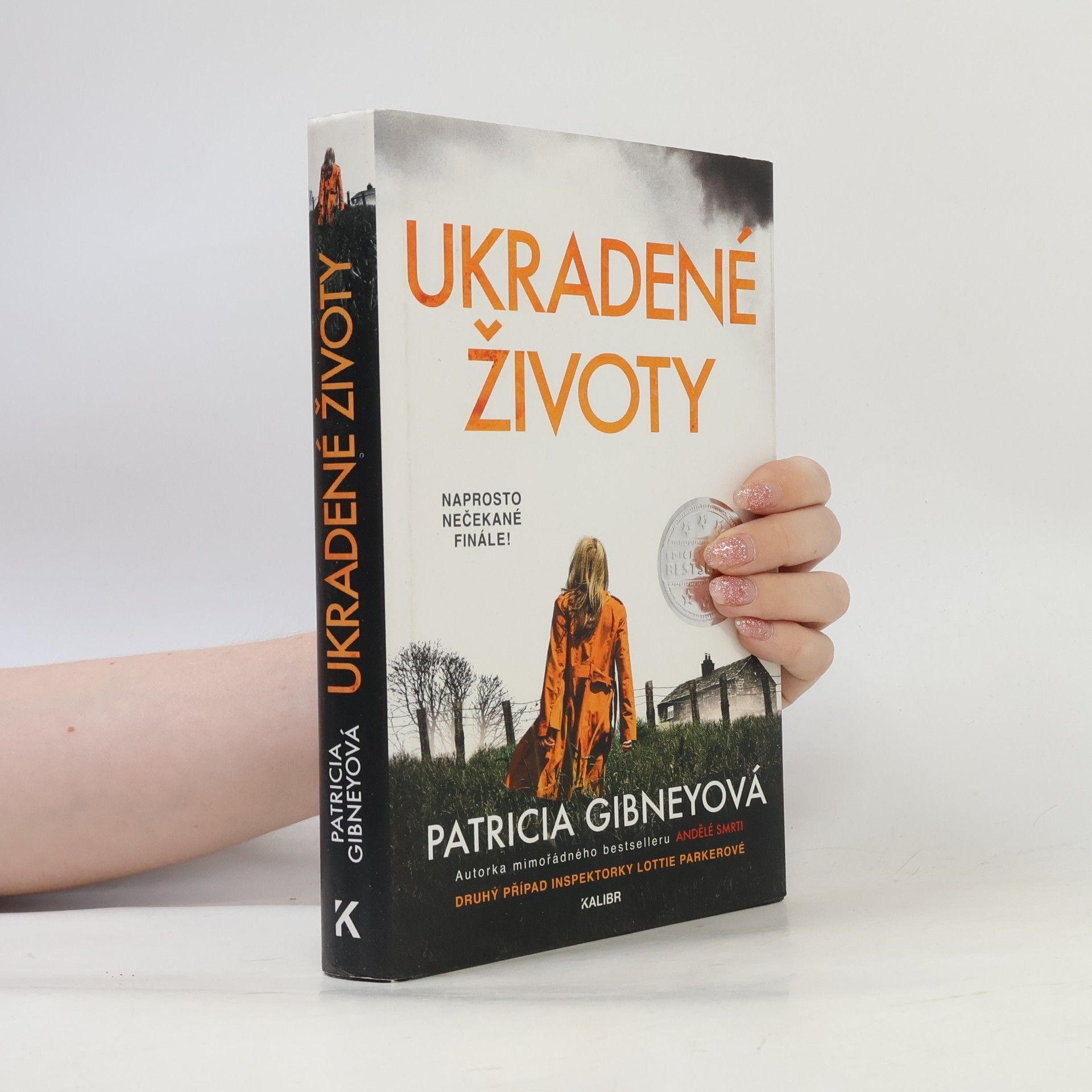 Patricia Gibney Ukradené životy