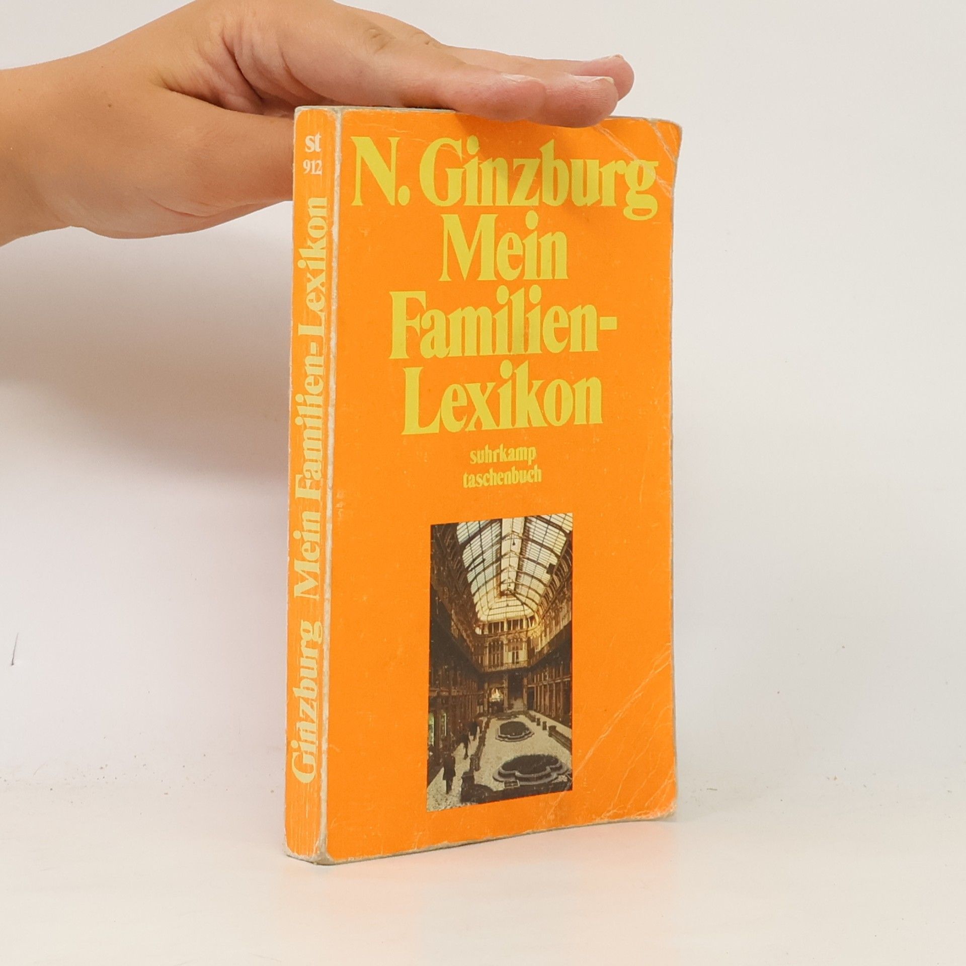 Natalia Ginzburg Mein Familien-Lexikon