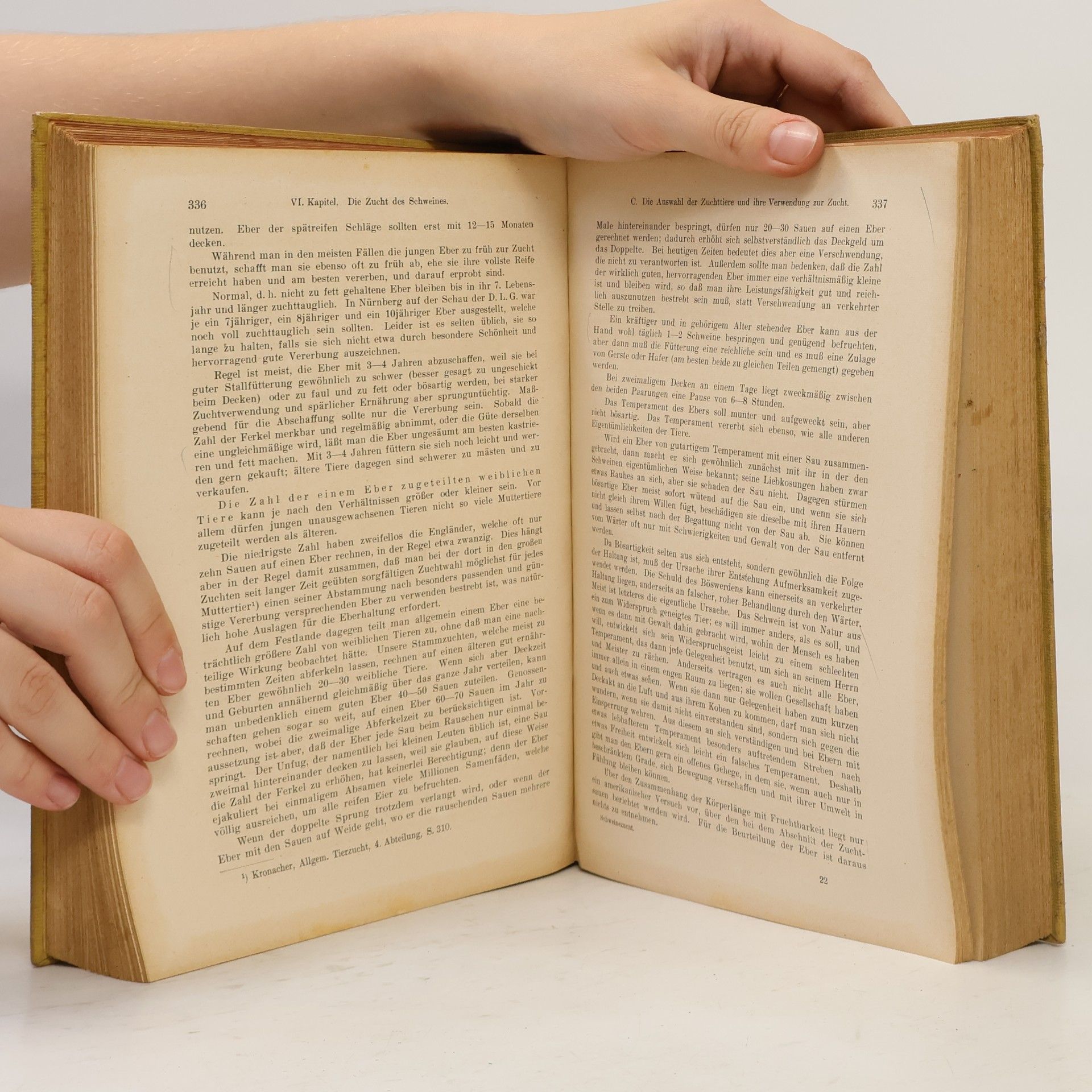 Friedrich Dettweiler Lehrbuch der Schweinezucht