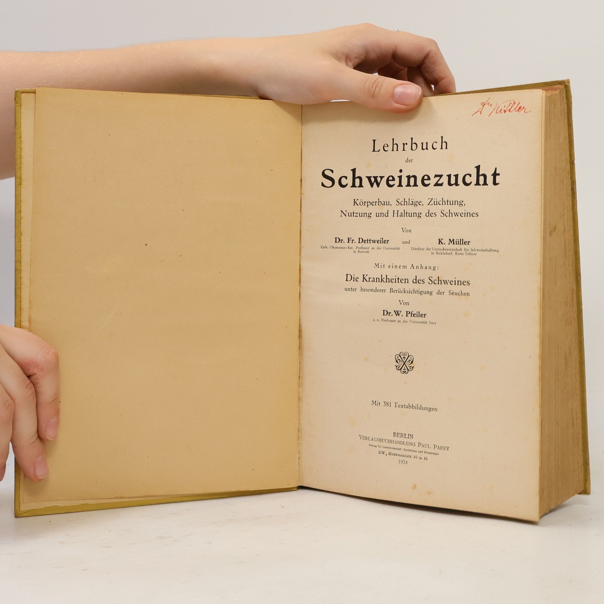 Friedrich Dettweiler Lehrbuch der Schweinezucht