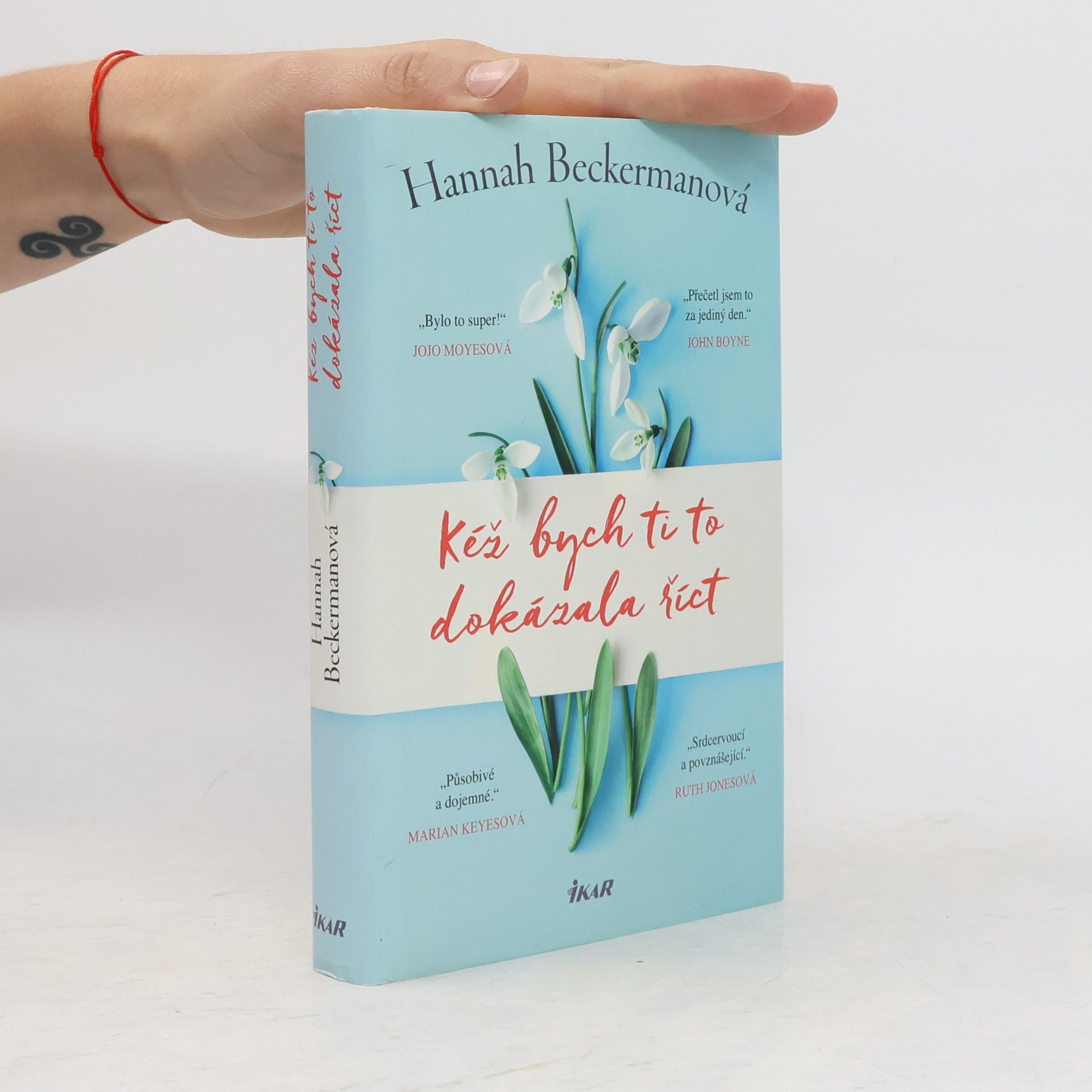 Hannah Beckerman Kéž bych ti to dokázala říct