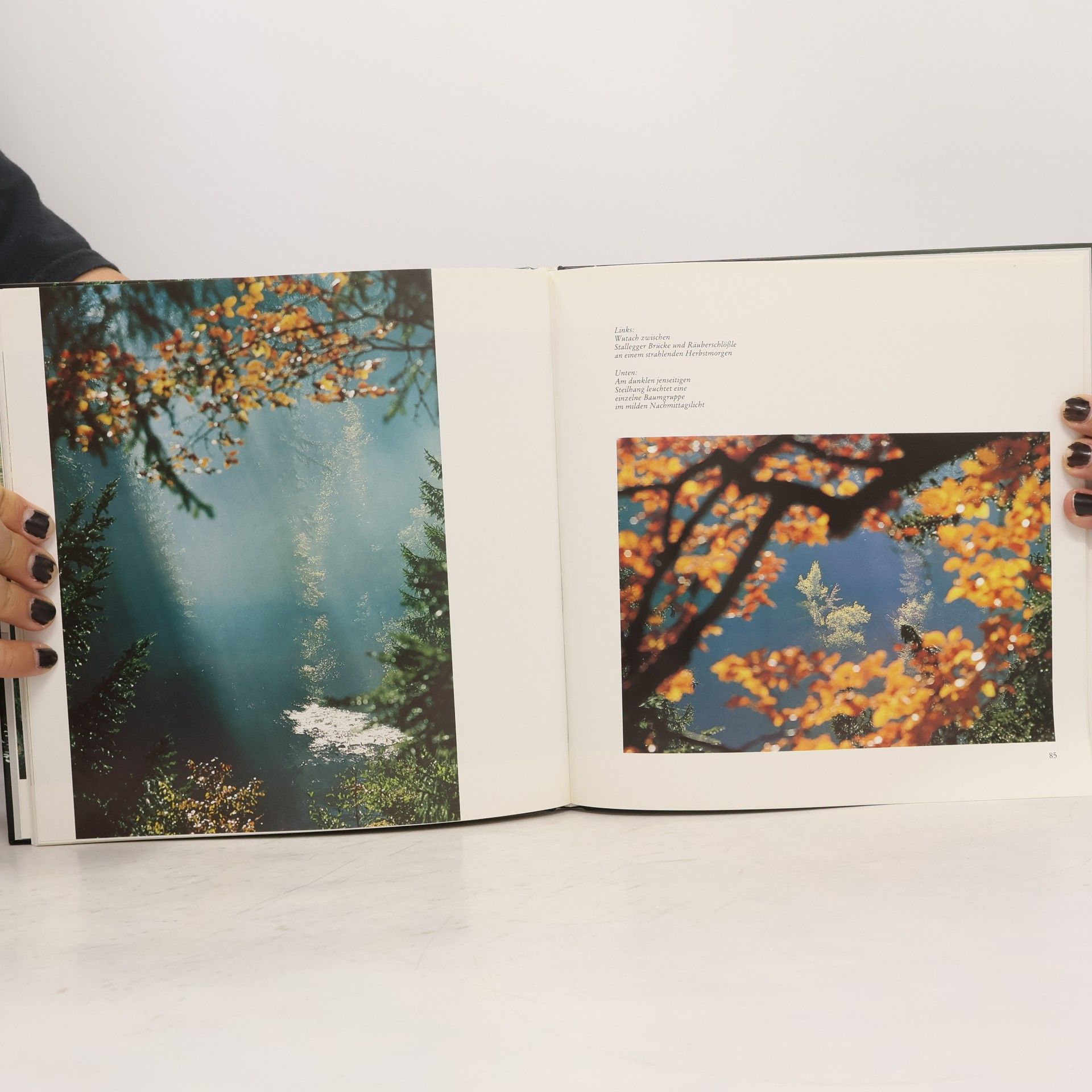 Dieter Kohlhepp Die Wutachschlucht. Bild einer Urlandschaft - 2. Auflage