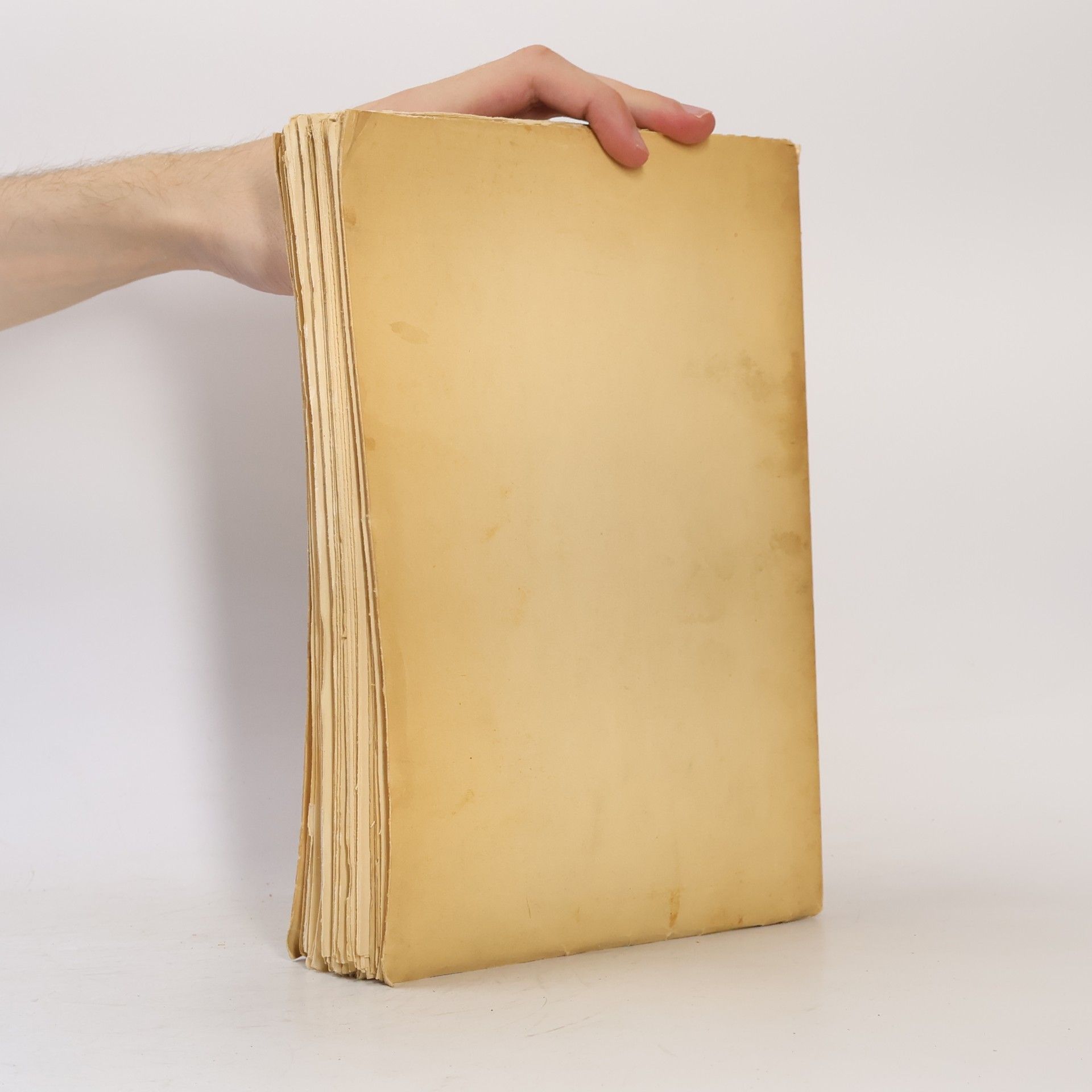 Various authors Slovenské národné shromaždenie v Turčianskom sv. Martine 1861