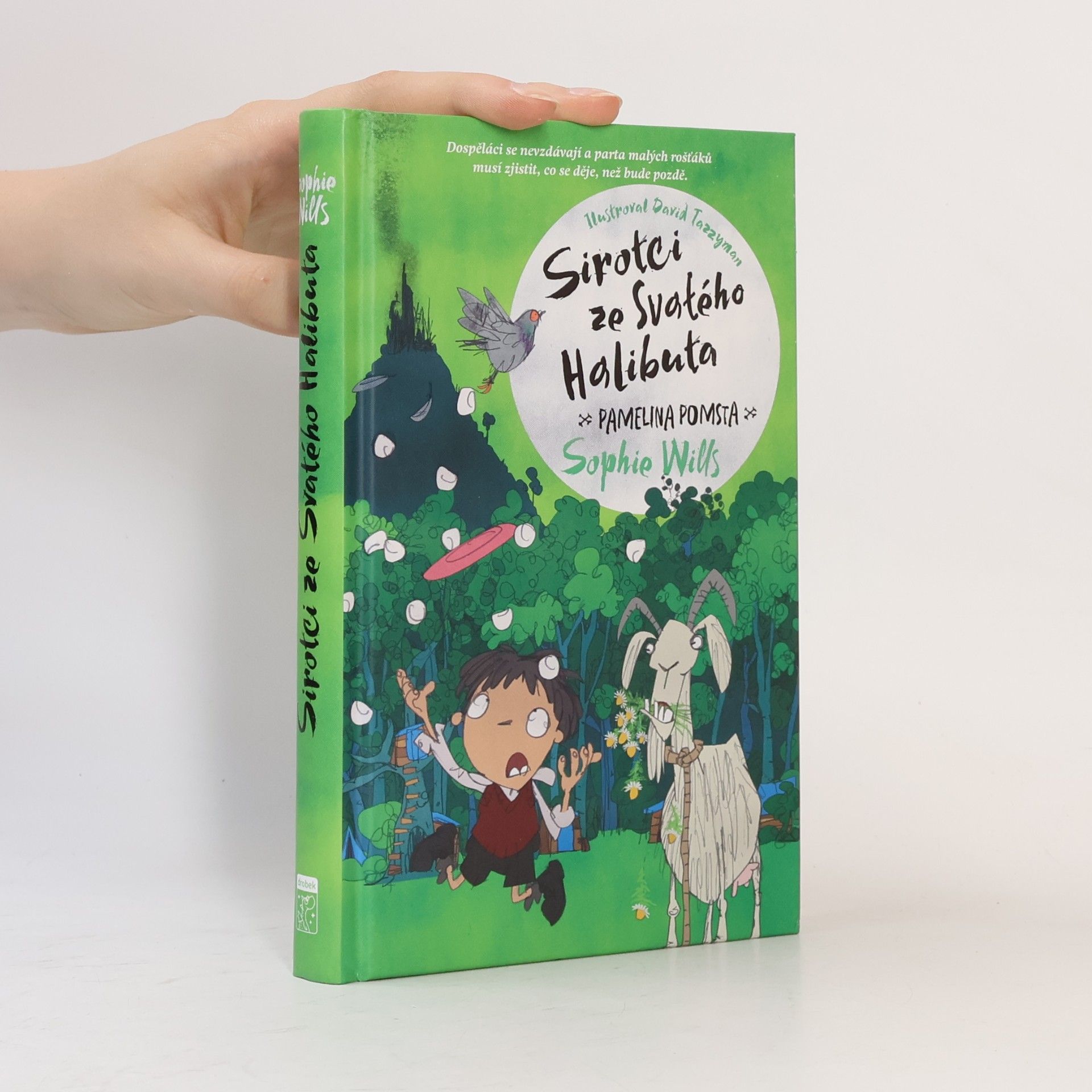 Sophie Wills Sirotci ze Svatého Halibuta. Pamelina pomsta