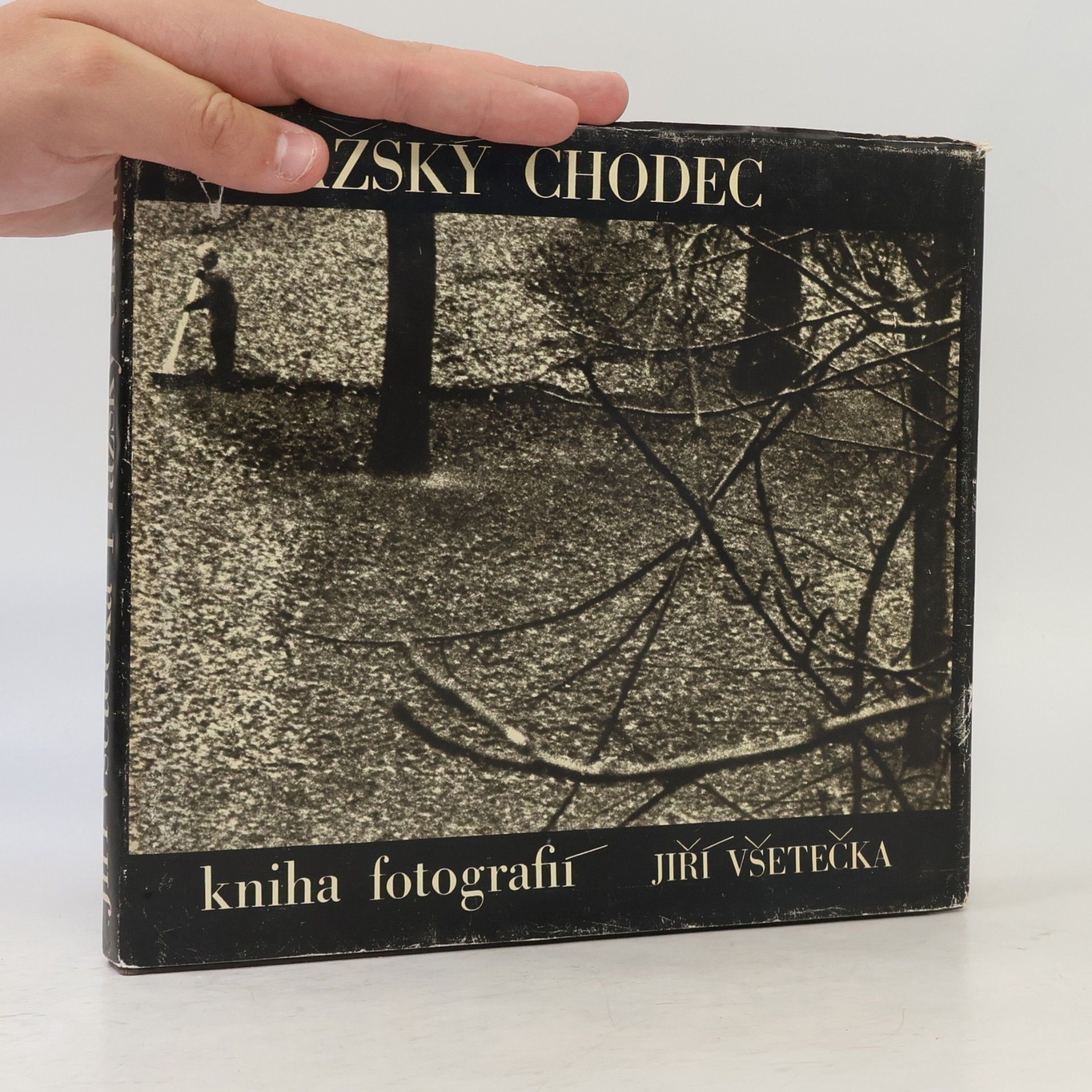 Jiří Všetečka Pražský chodec