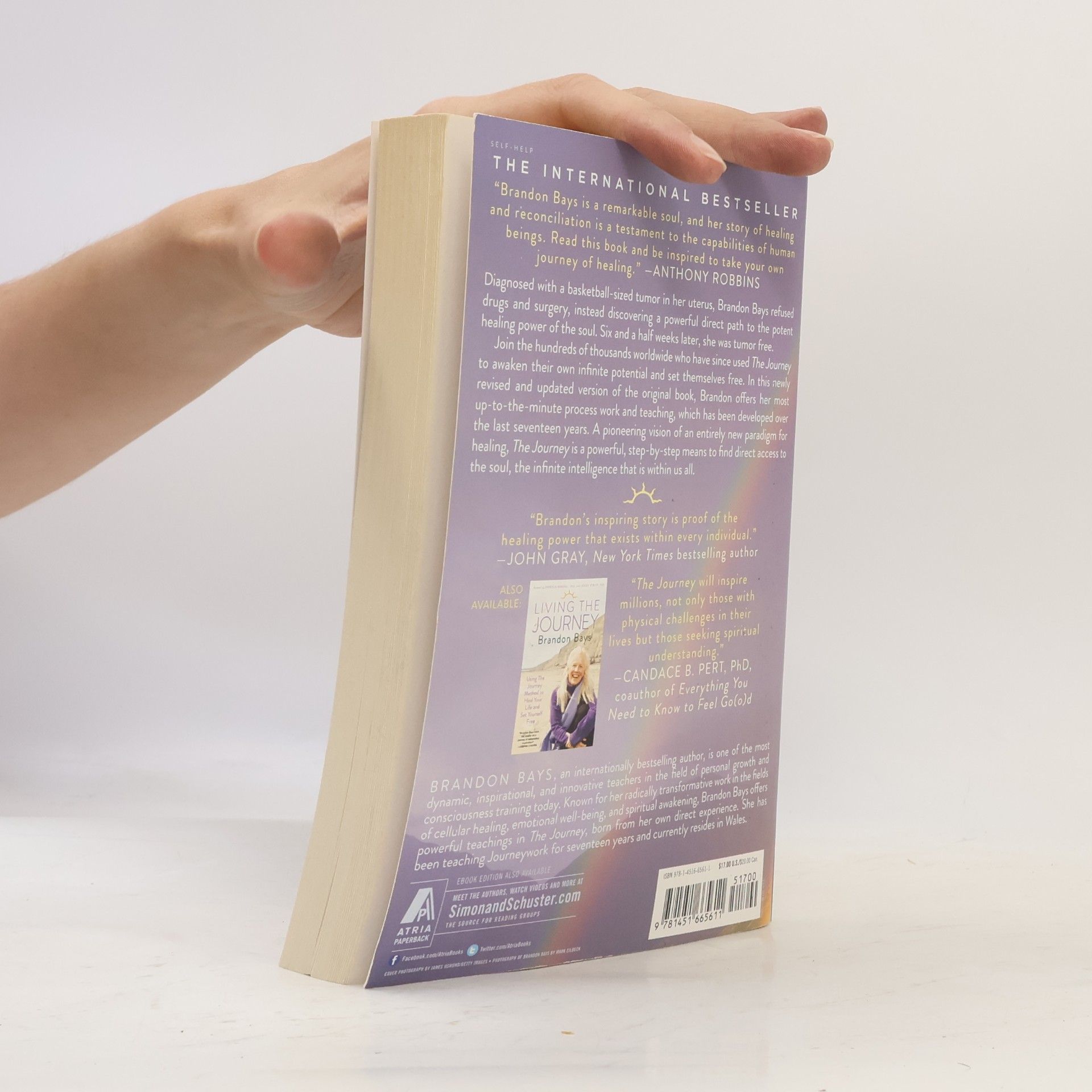 Brandon Bays The Journey. A Practical Guide to Healing Your Life and Setting Yourself Free