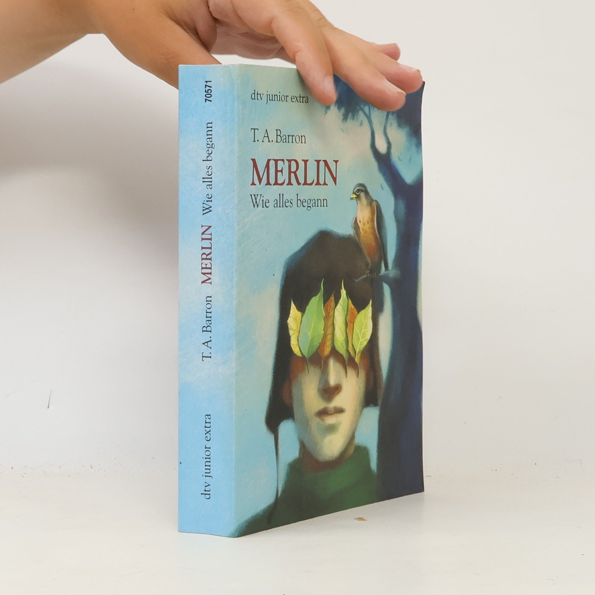 T. A. Barron Merlin. Wie alles begann
