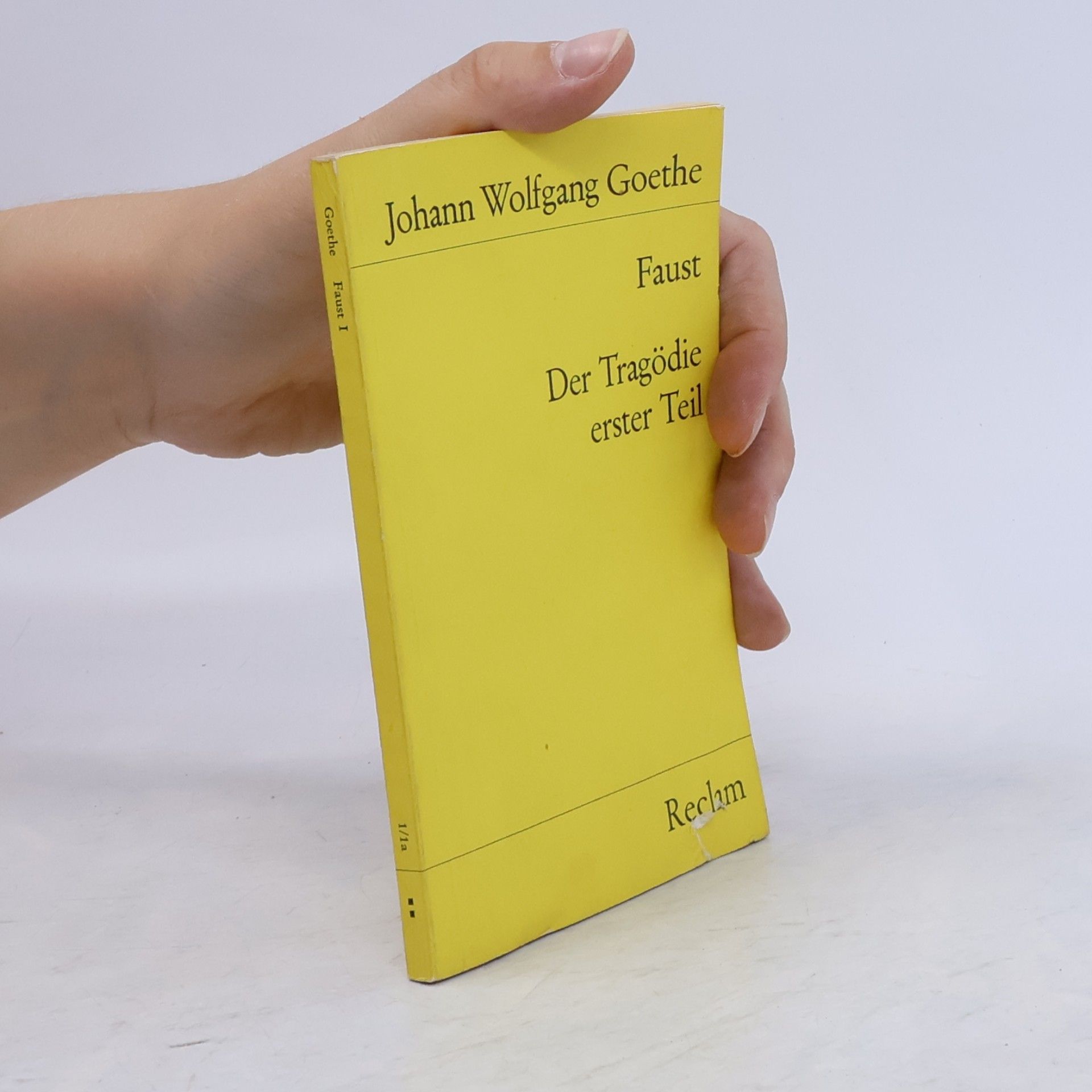 Johann Wolfgang von Goethe Faust : der Tragödie Erster teil