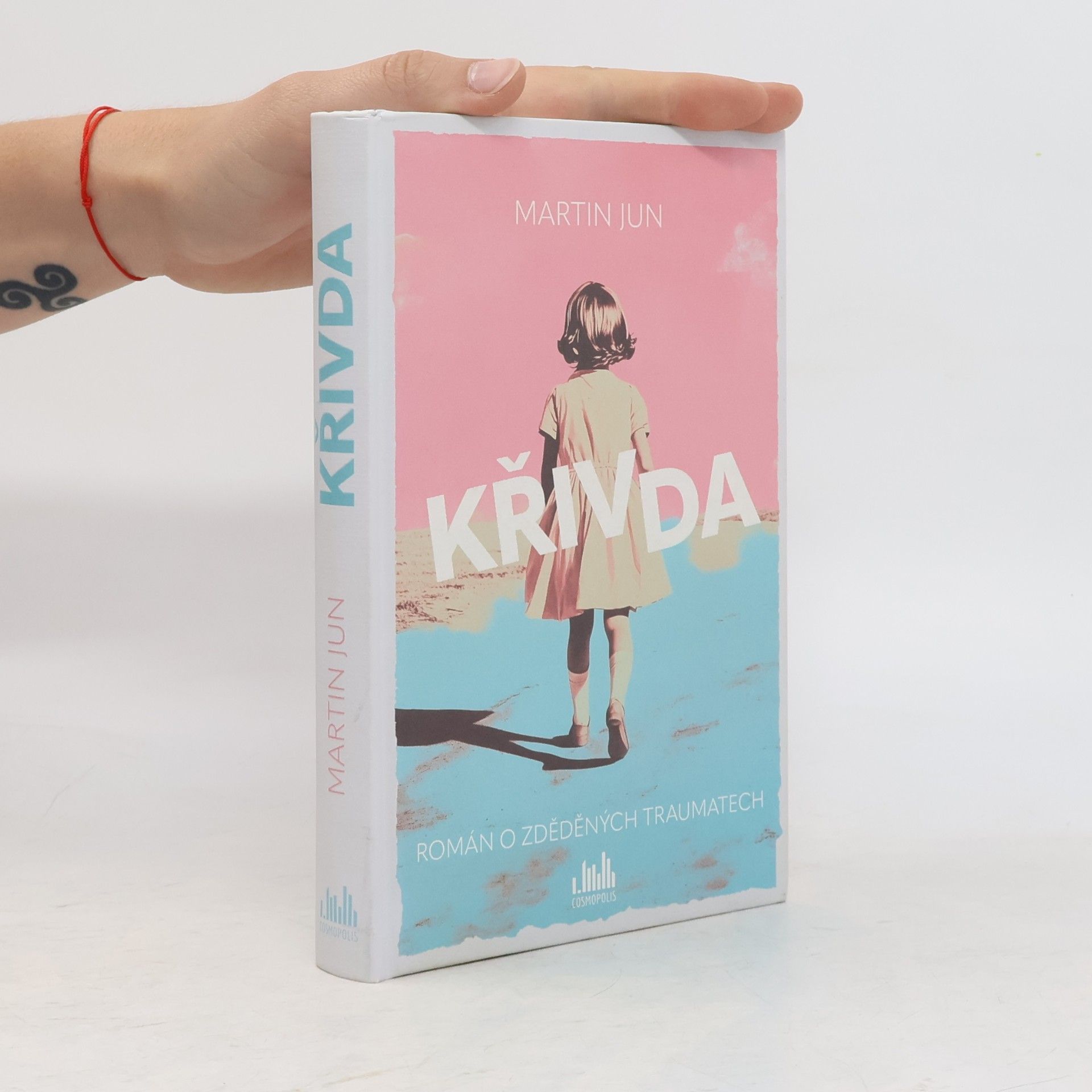 Martin Jun Křivda. Román o zděděných traumatech