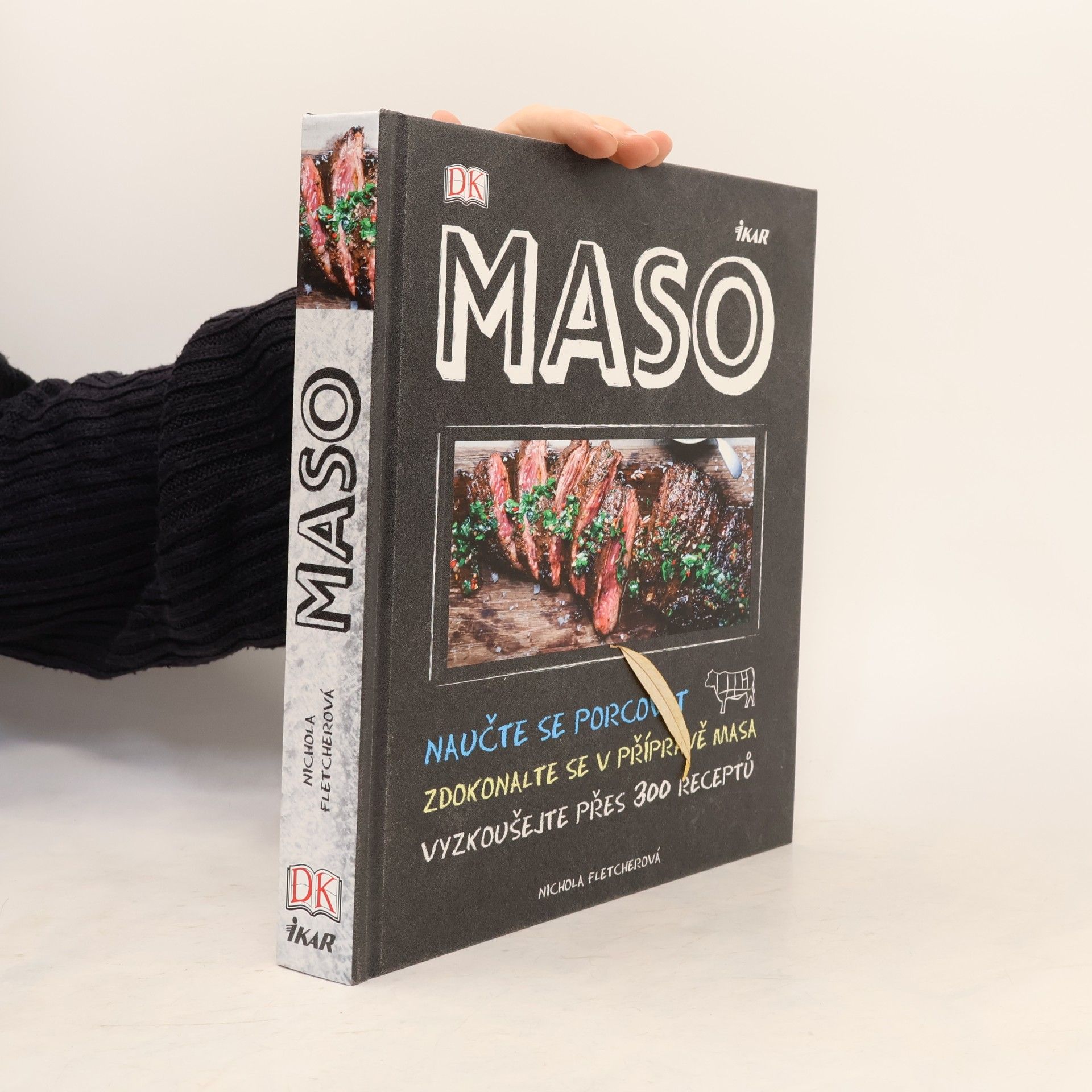 Autores varios Maso