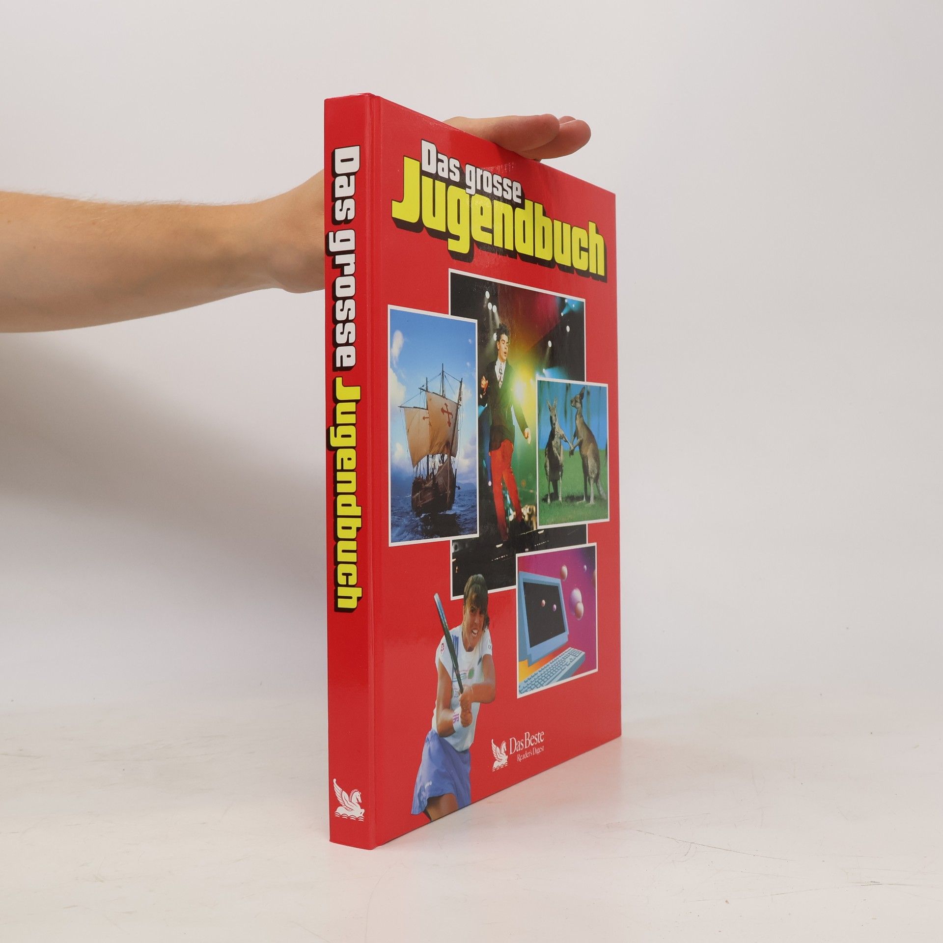 Autorenkollektiv Das grosse Jugendbuch