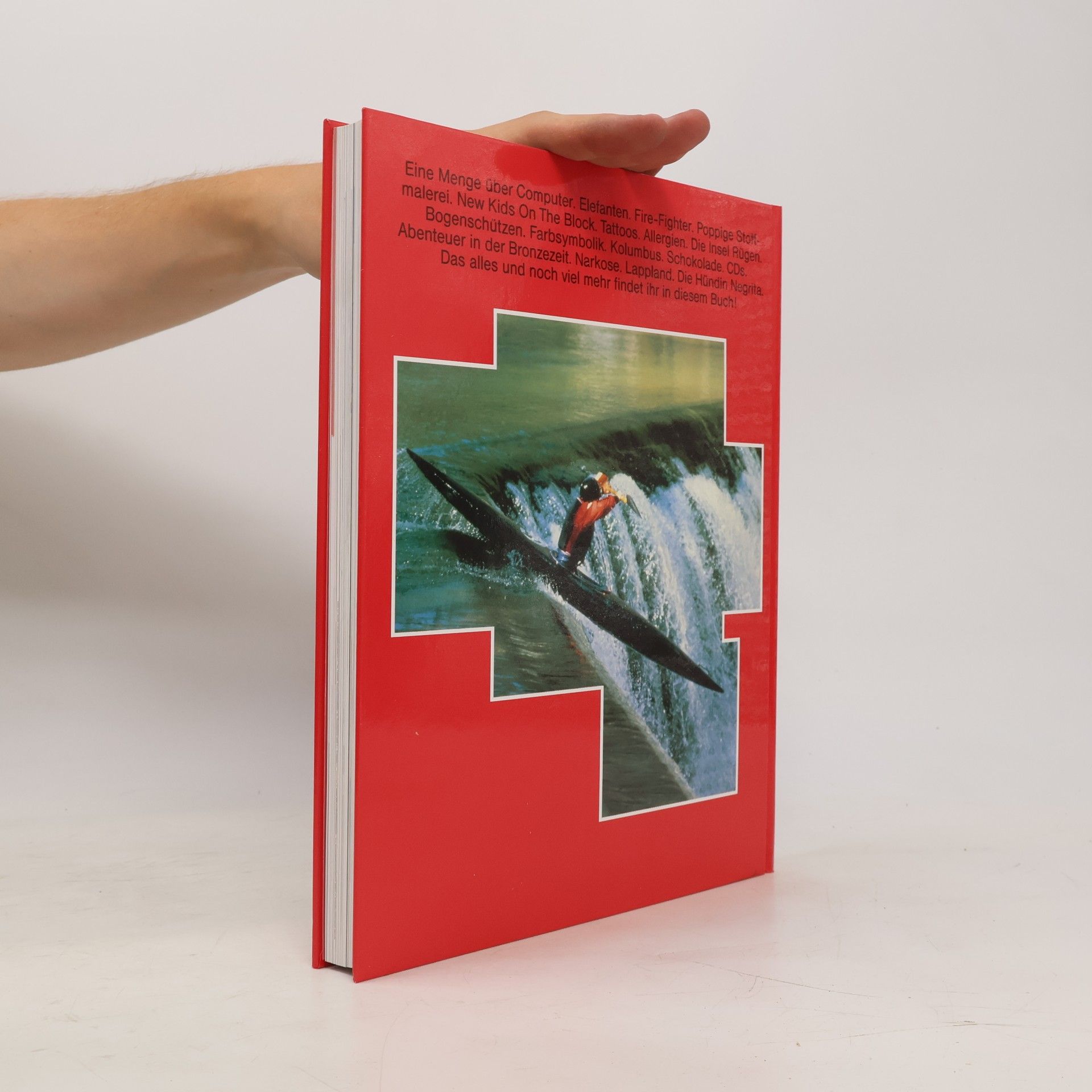 AA.VV. Das grosse Jugendbuch
