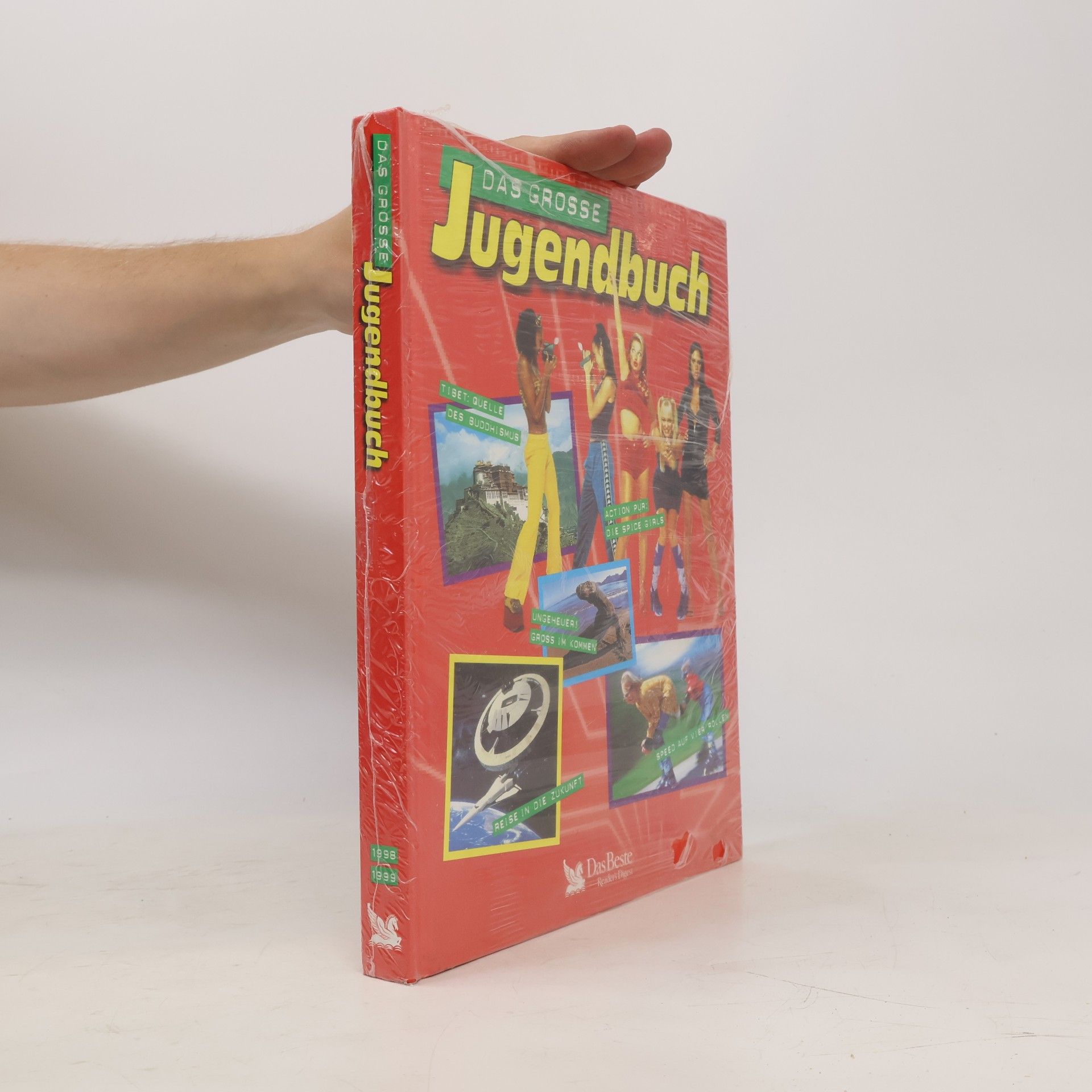Kolektiv autorů Das grosse Jugendbuch