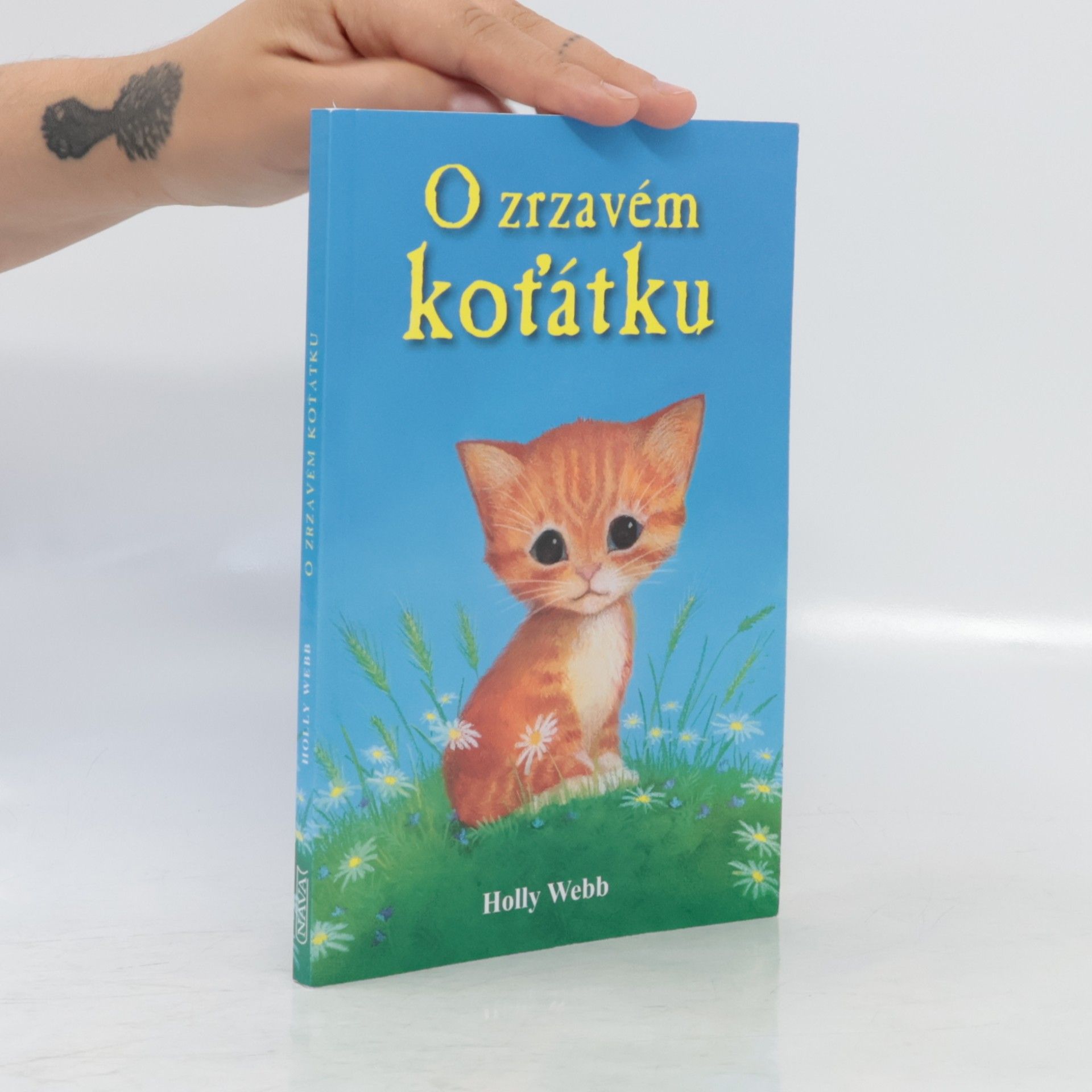 Holly Webb O zrzavém koťátku