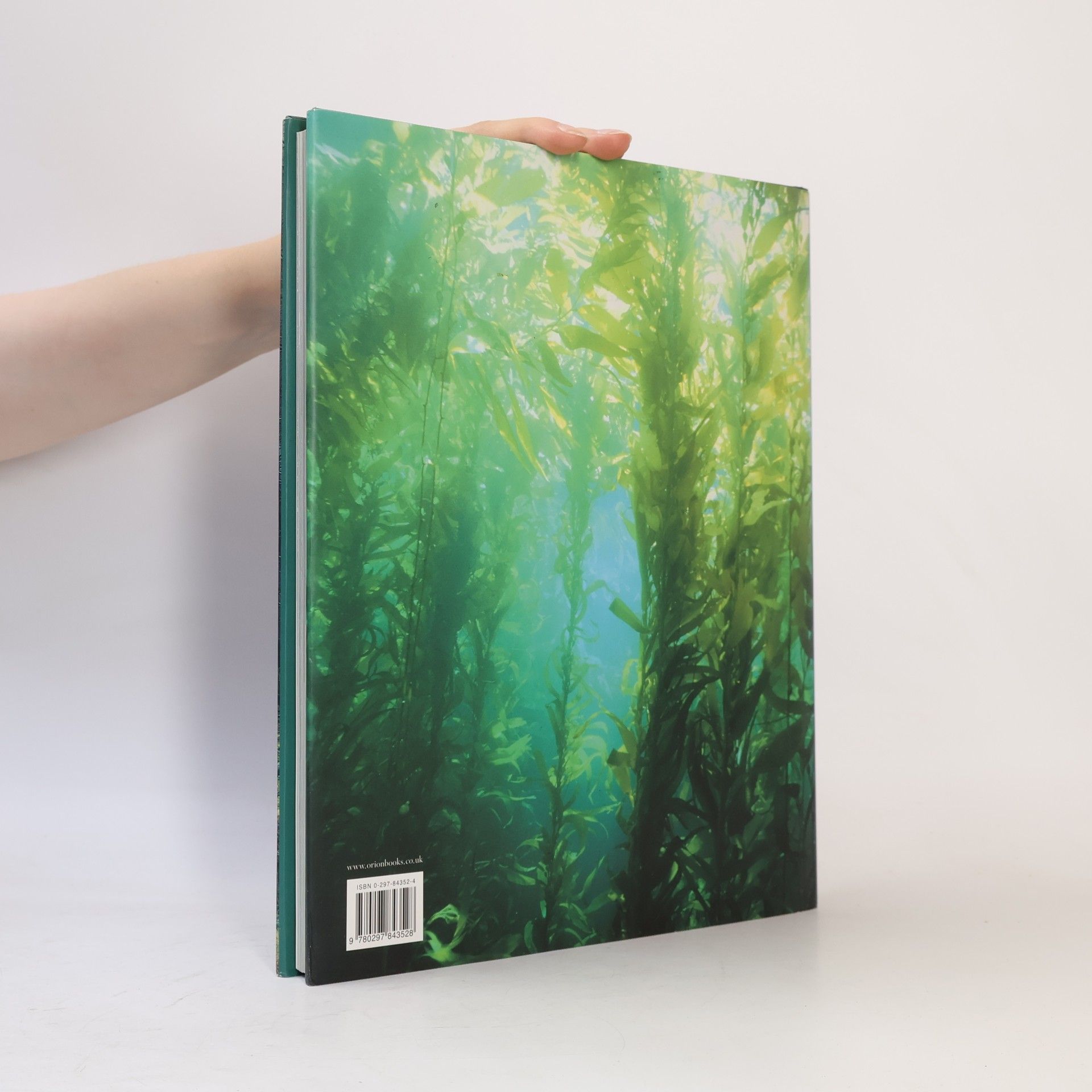 Jonathan Roberts Mythic Woods