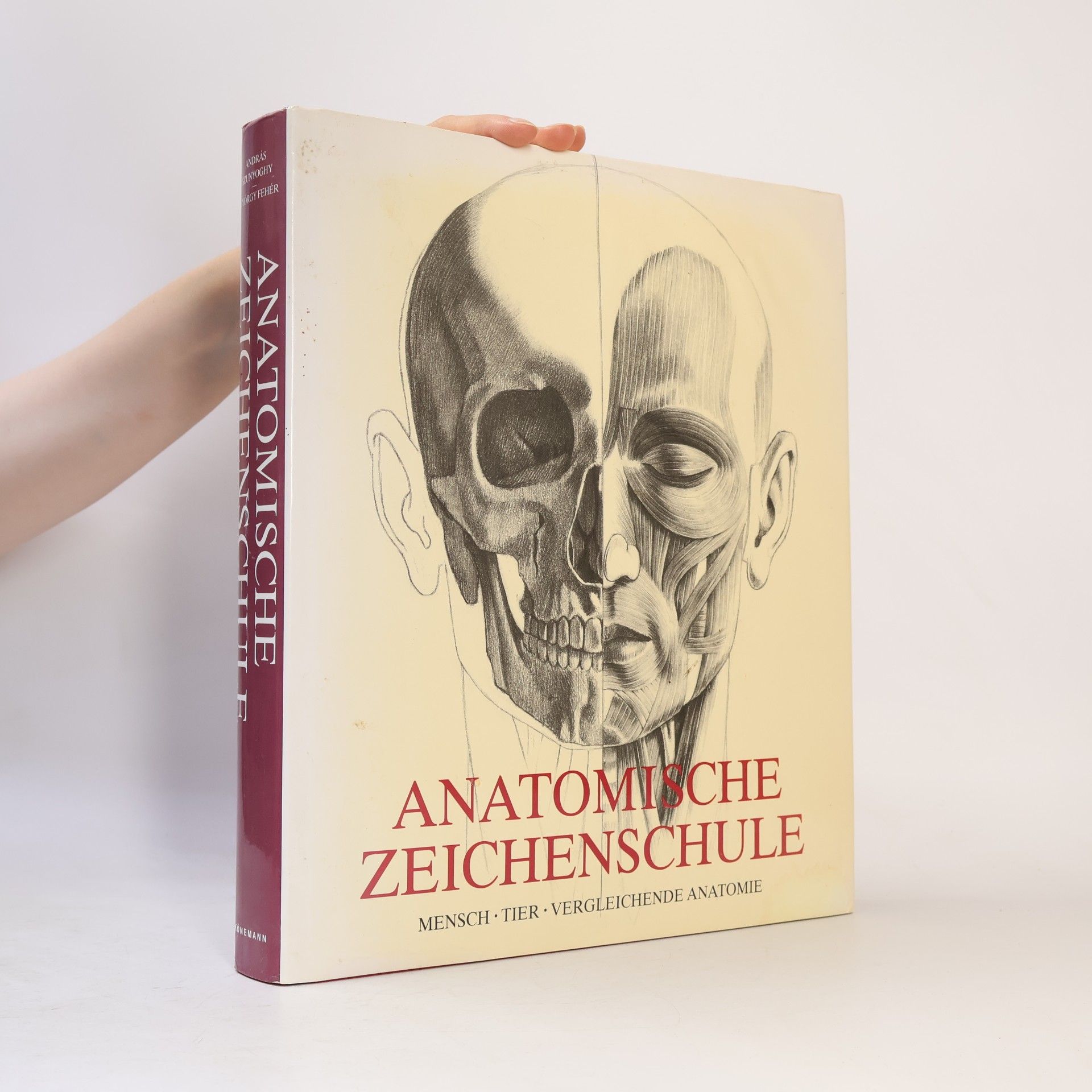András Szunyoghy Anatomische Zeichenschule