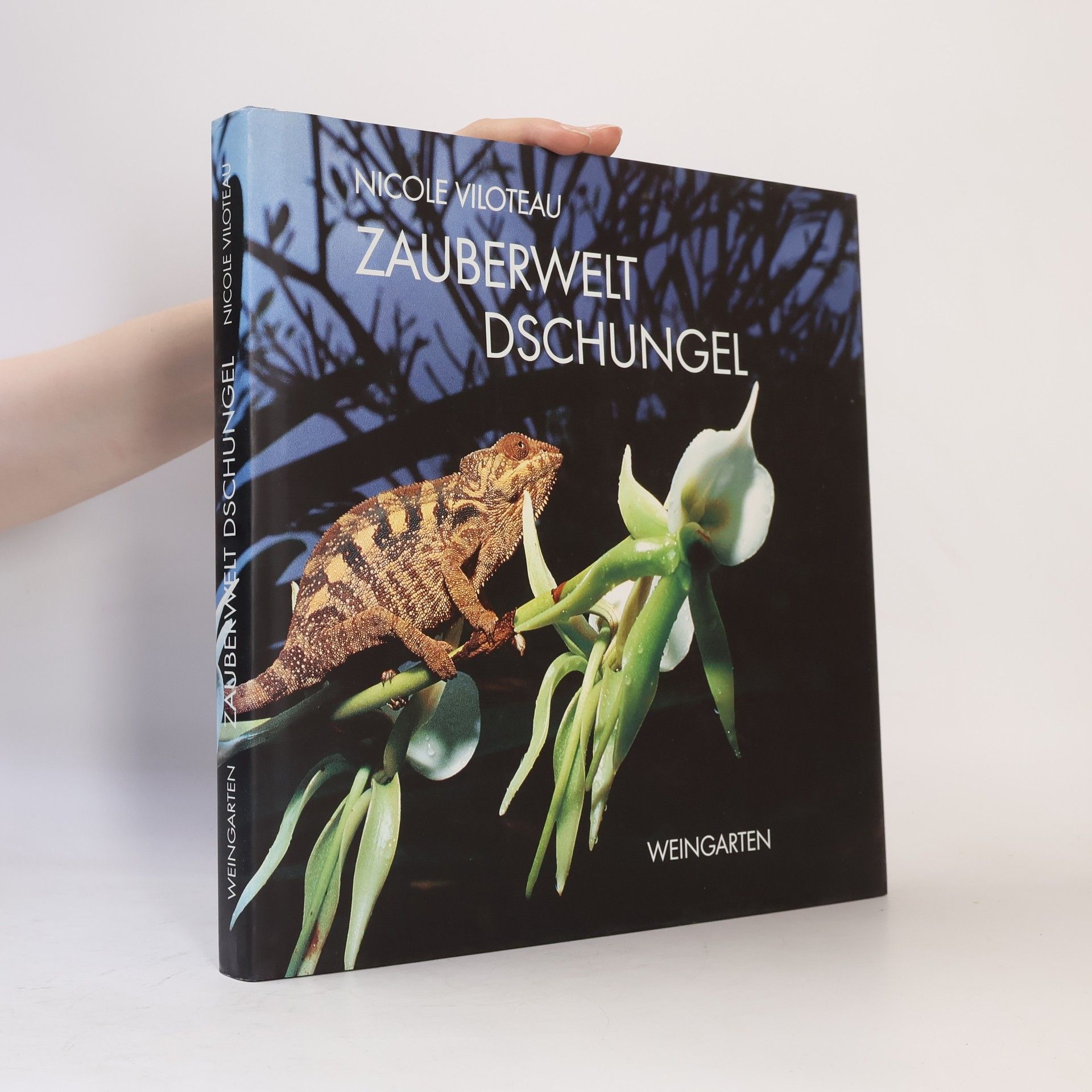 Nicole Viloteau Zauberwelt Dschungel