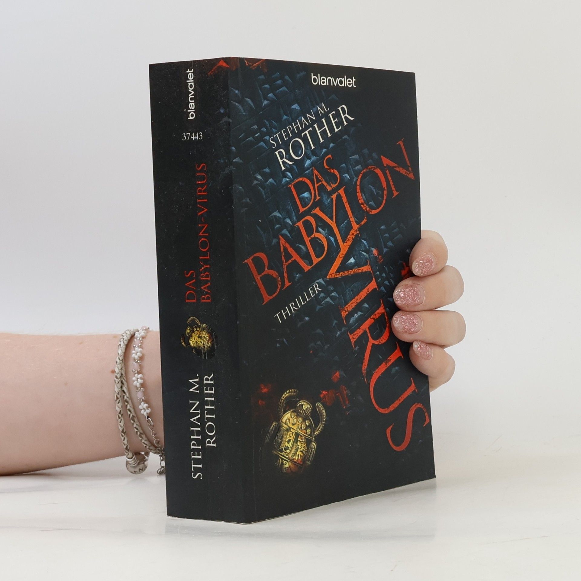 Stephan Rother Das Babylon-Virus